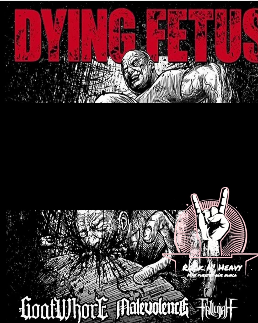 🕊️Dying Fetus take flight with an extreme TURNSTILE cover.