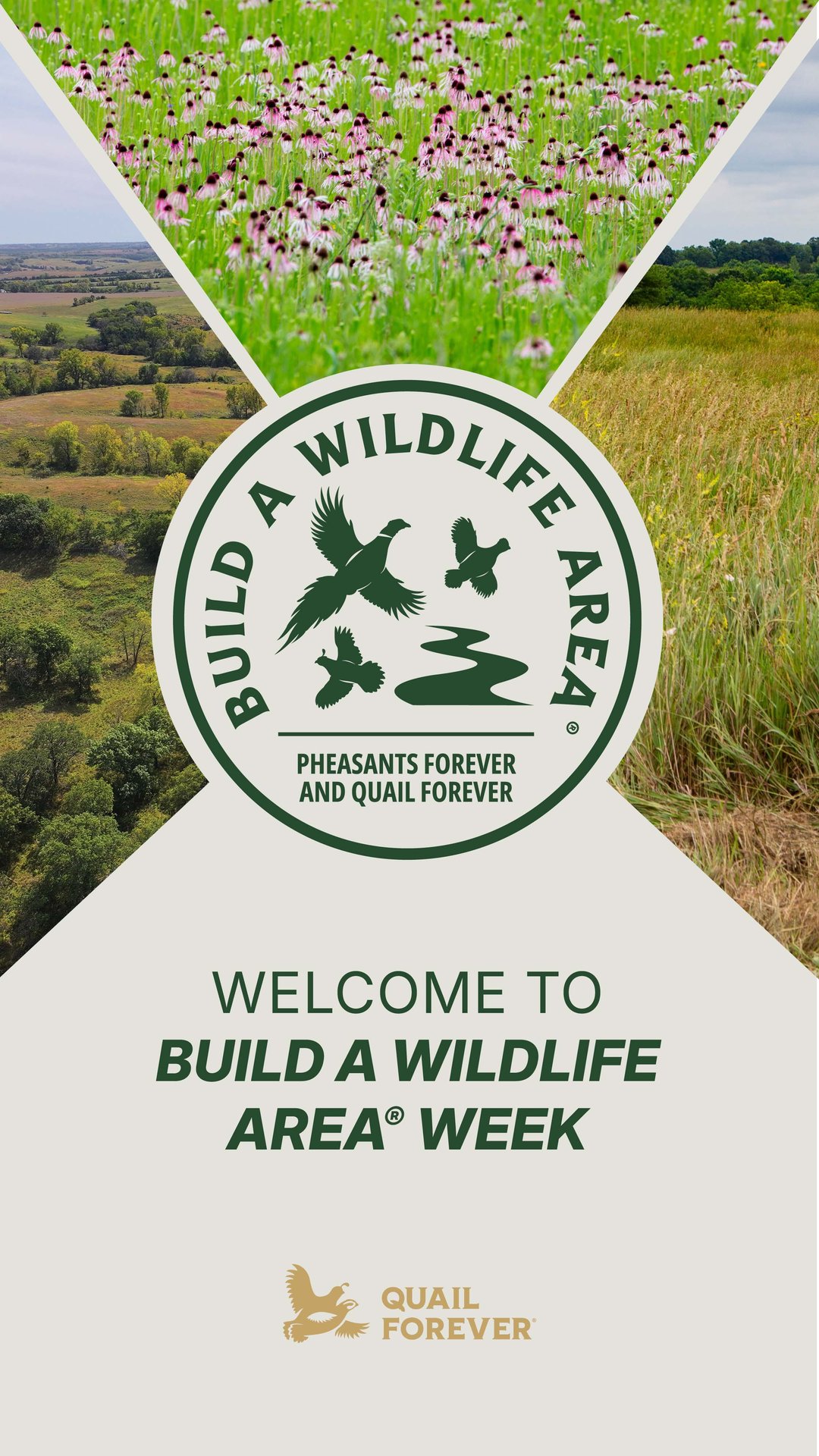 Welcome to Build a Wildlife Area Week! Habitat protection, enhancement ...