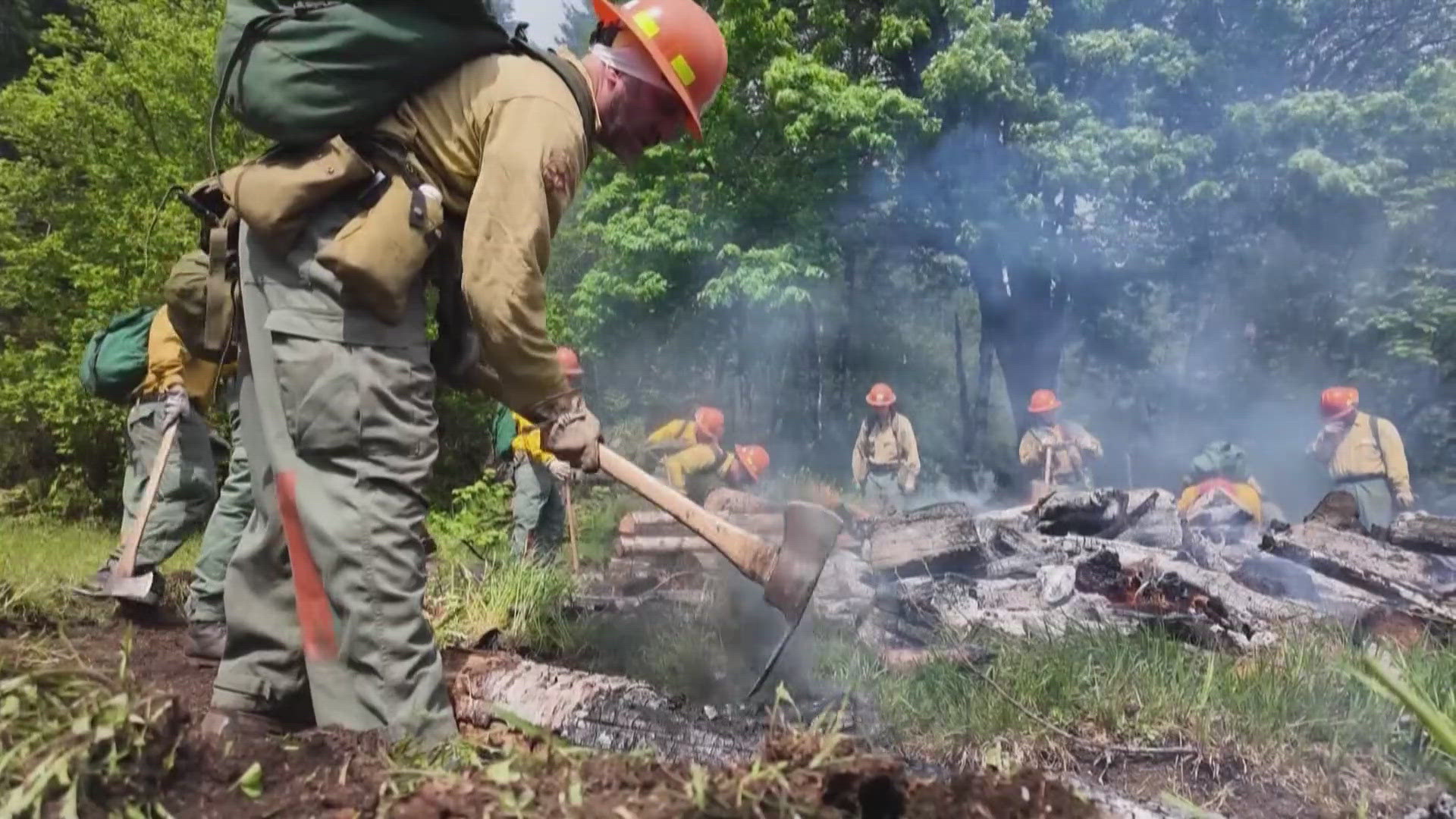 Washington DNR eyes preventative wildfire measures and renewed state ...
