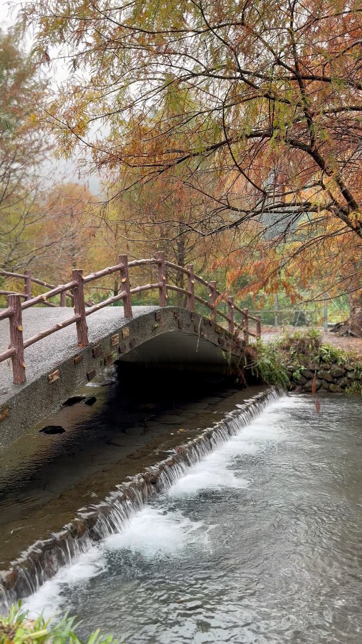 這裡有超仙湖中景 、有瀑布。走一圈剛剛好不累，終於可以來這優雅散步了。 | 捲捲頭 ／品味生活 | Facebook