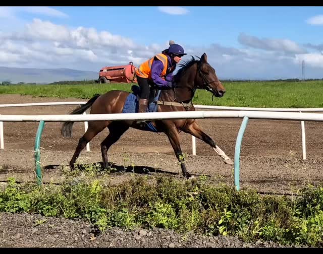 We’re @newcastleraces this evening with 6 runners! Yaaser, Sea Legend ...