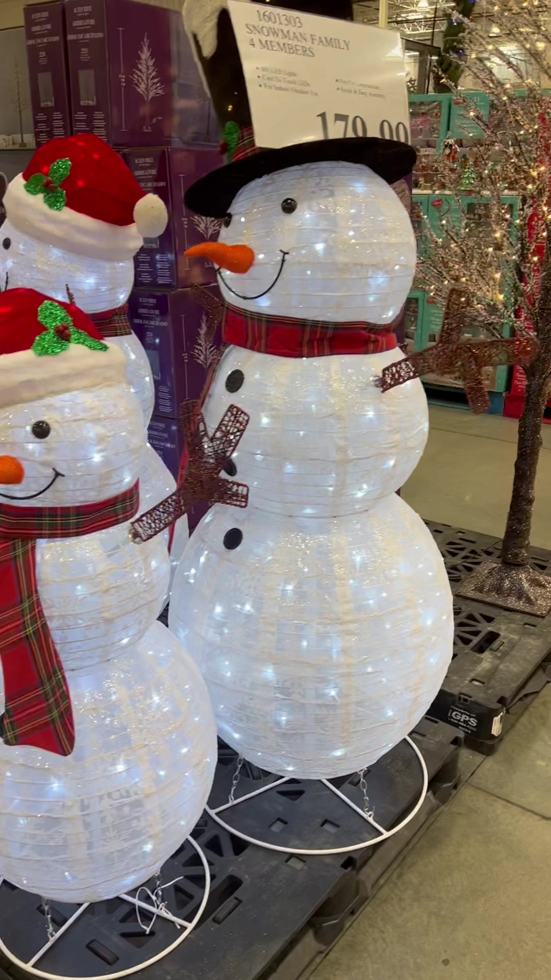 Costco has this adorable Snowman on Skis with LED Lights, and this