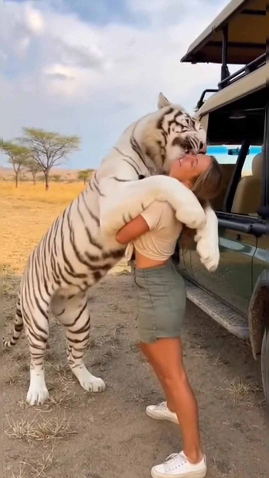 A rare and heart-melting moment caught on camera as a gentle white ...