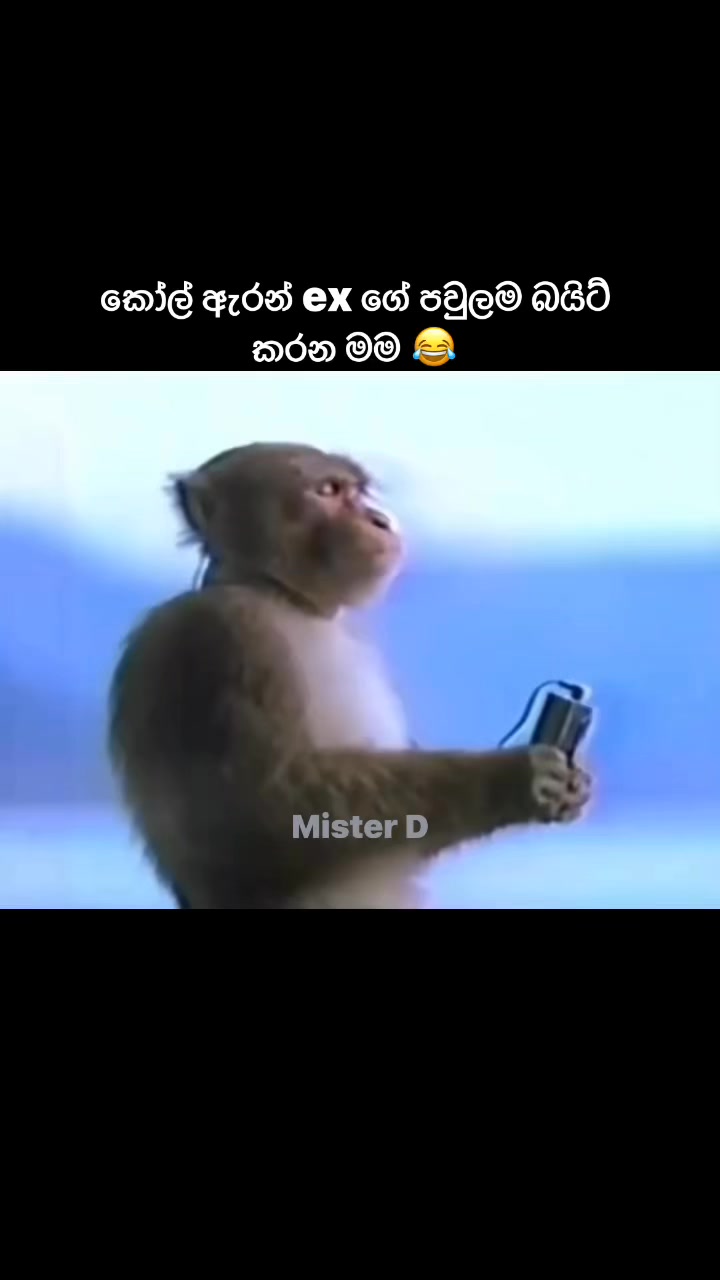 සද්ද කරන්න එපා භාවනා කරන ගමන් ඉන්නේ 😂 #Joke #highlightseveryone # ...