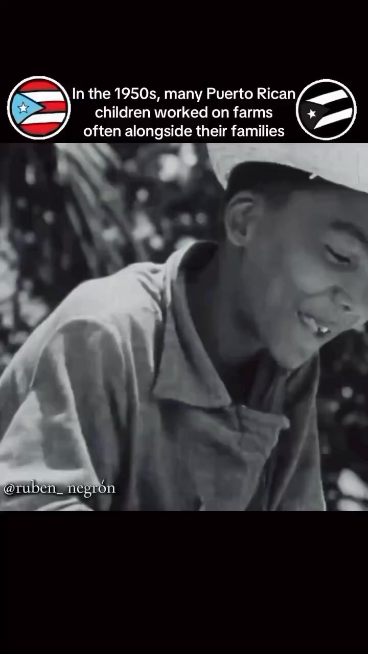 Puerto Rican children experienced a complex reality shaped by the ...