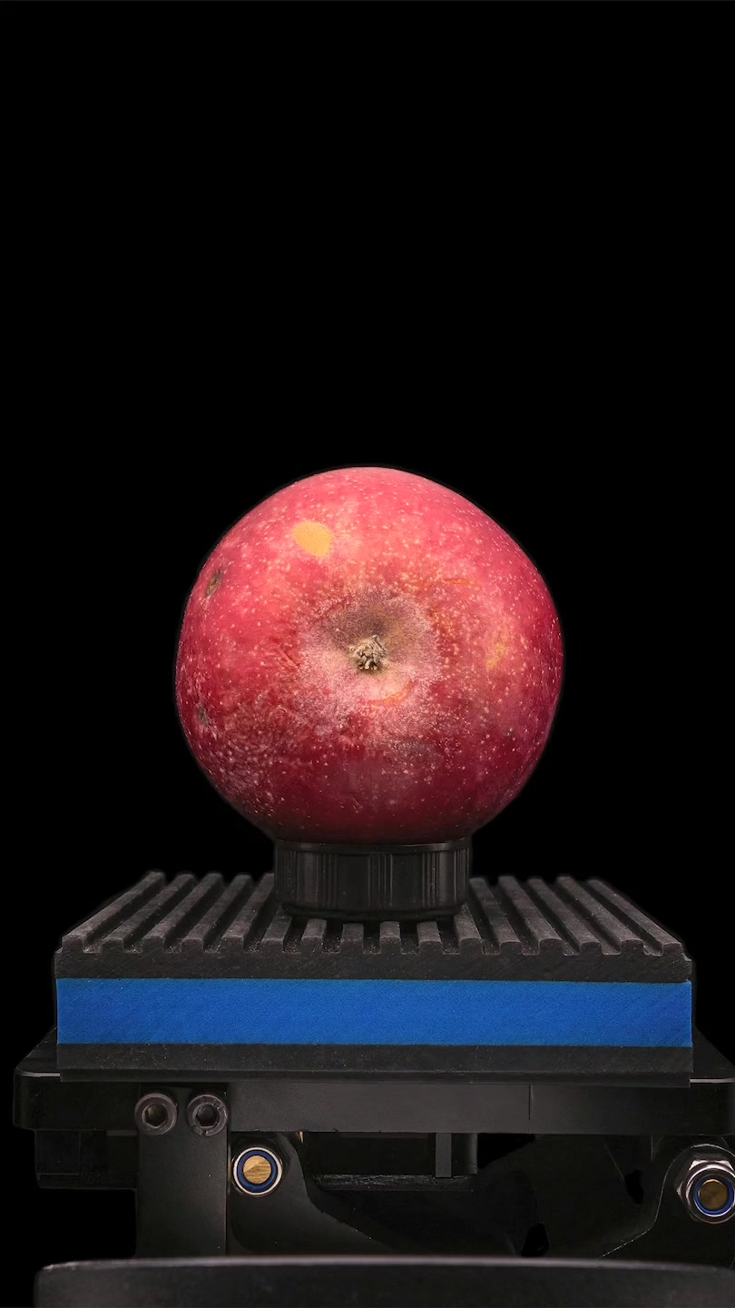 Apple Calyx Under the Microscope in Super Zoom! 🤯 #macro #photography # ...