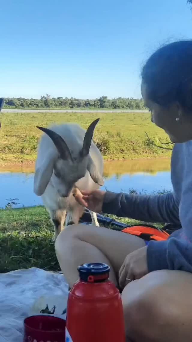 KayakRincon | San José del Rincón