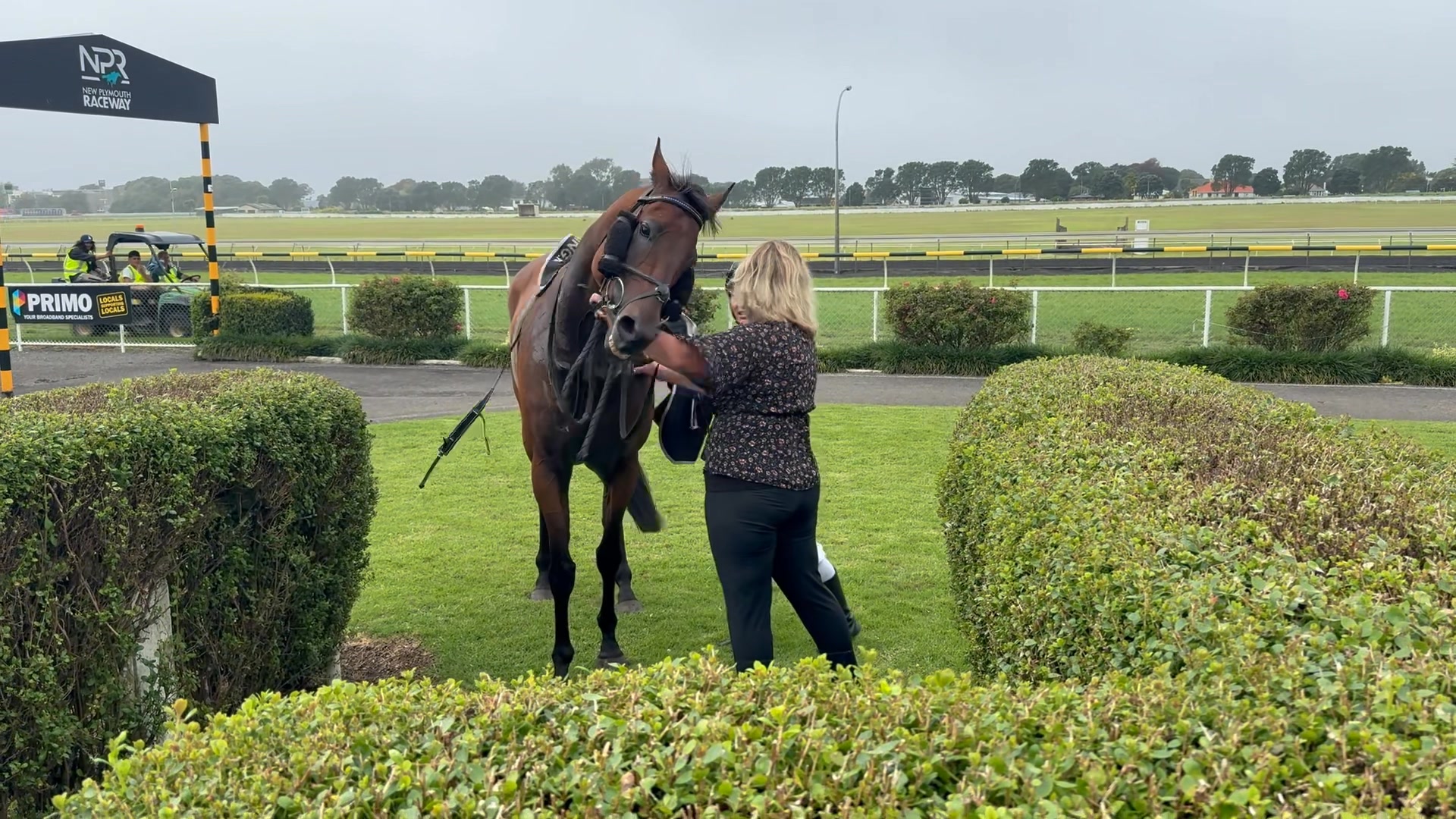 Still Kauri Day at Otaki !!!! | Racing This Time TV | Facebook