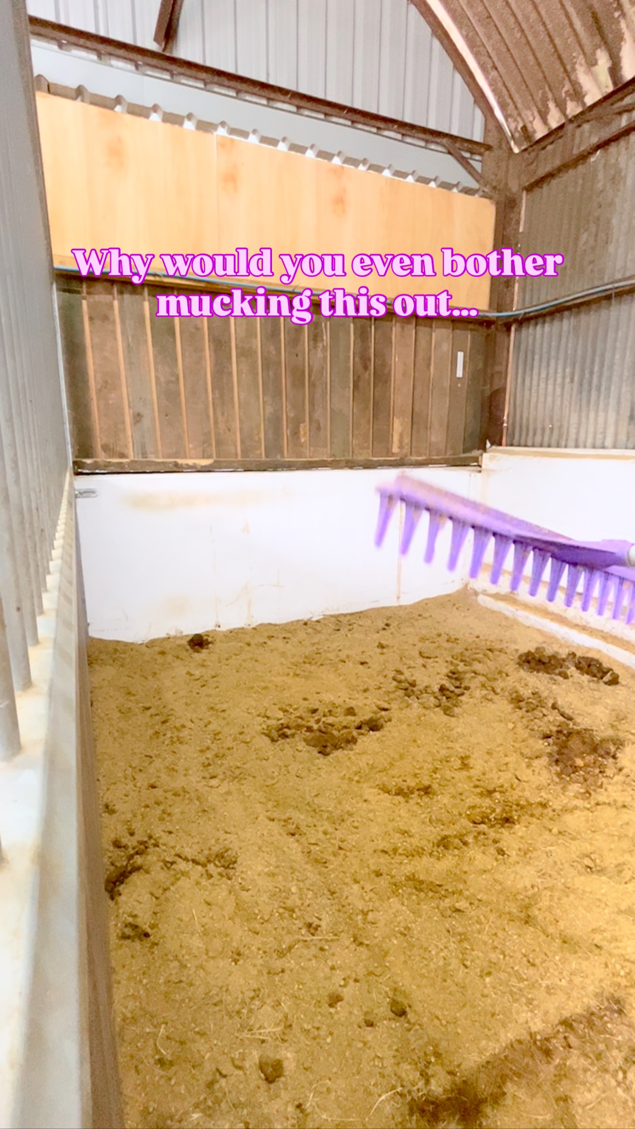When your horse has thrown a full-on party in the stable 🎉💩 … why ...
