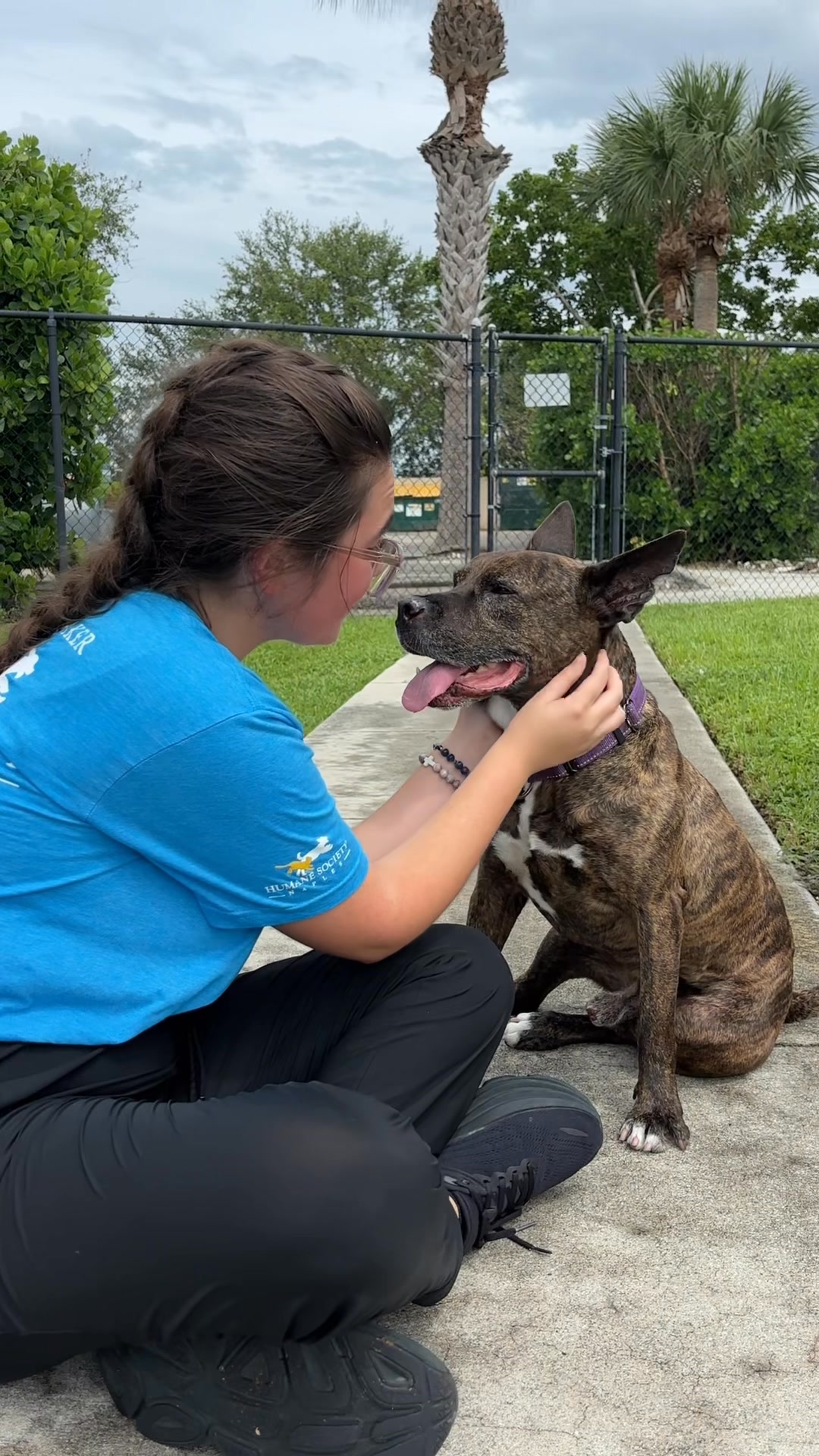 Rando is a 5-year-old love bug—the perfect size for both snuggles and ...