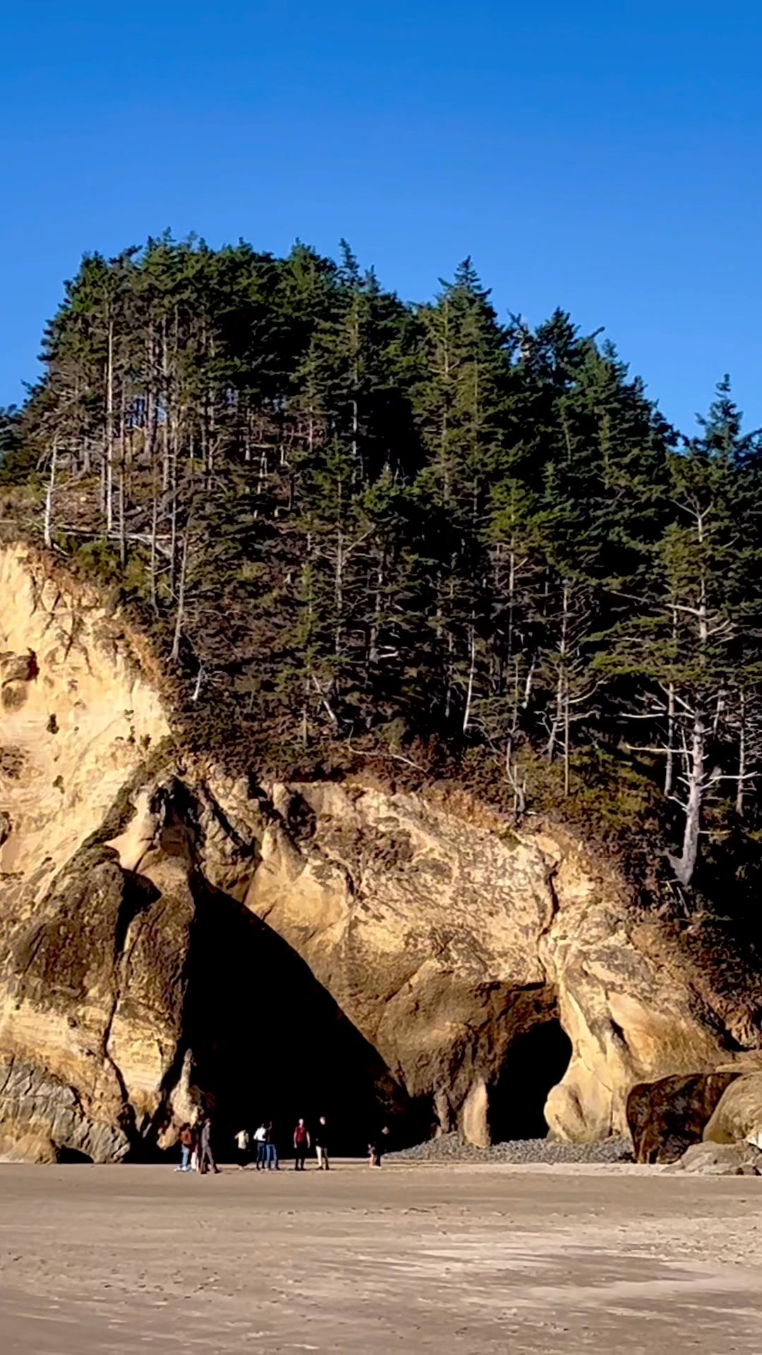 Hug Point, OR reveals a seasonal waterfall, caves carved into sandstone ...