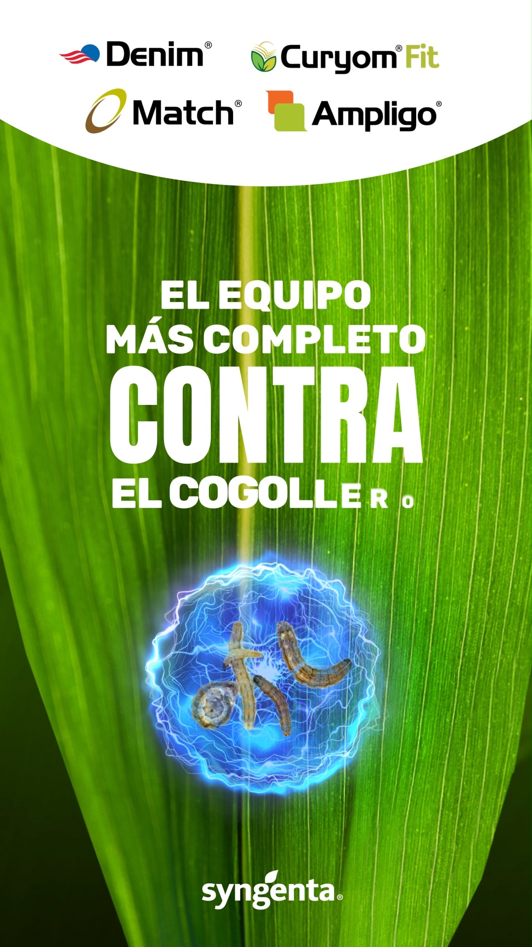 En la batalla contra el #Cogollero, ¡cuentas con los mejores aliados ...