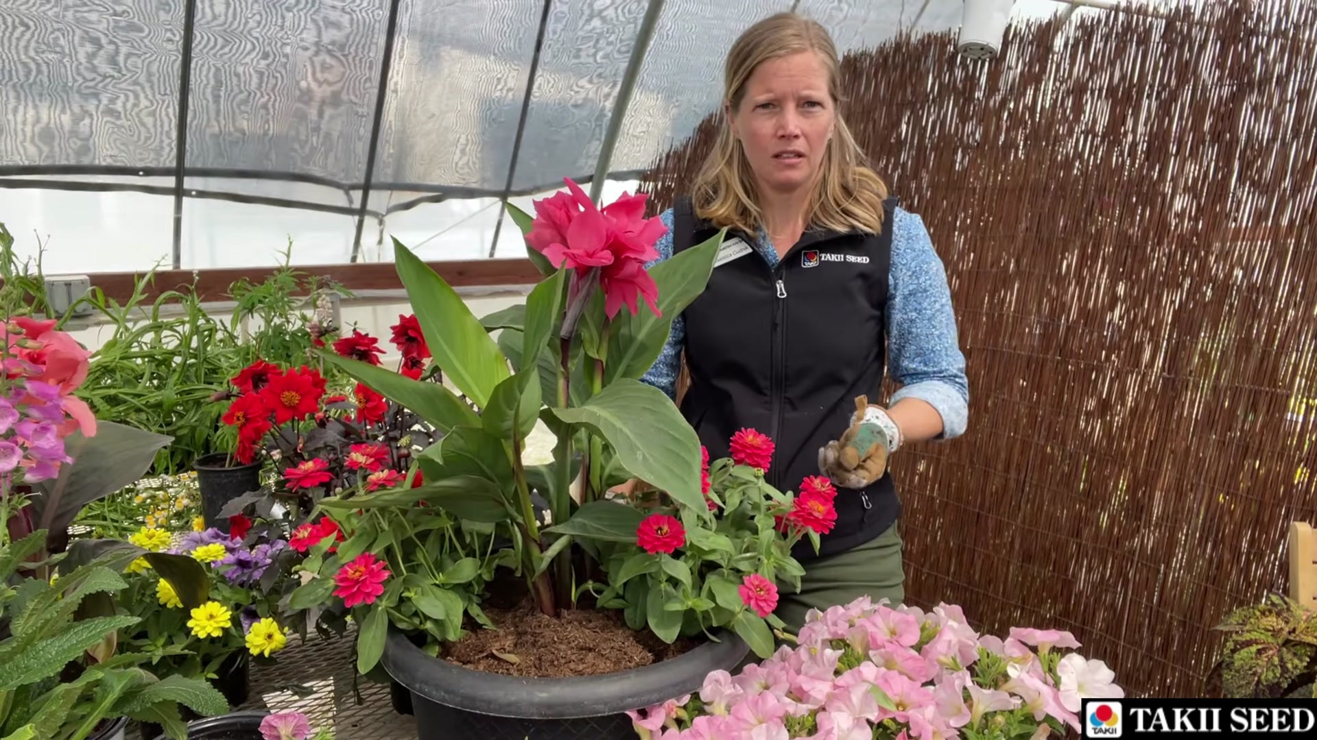 Combination Planter with Takii Seed | American Takii