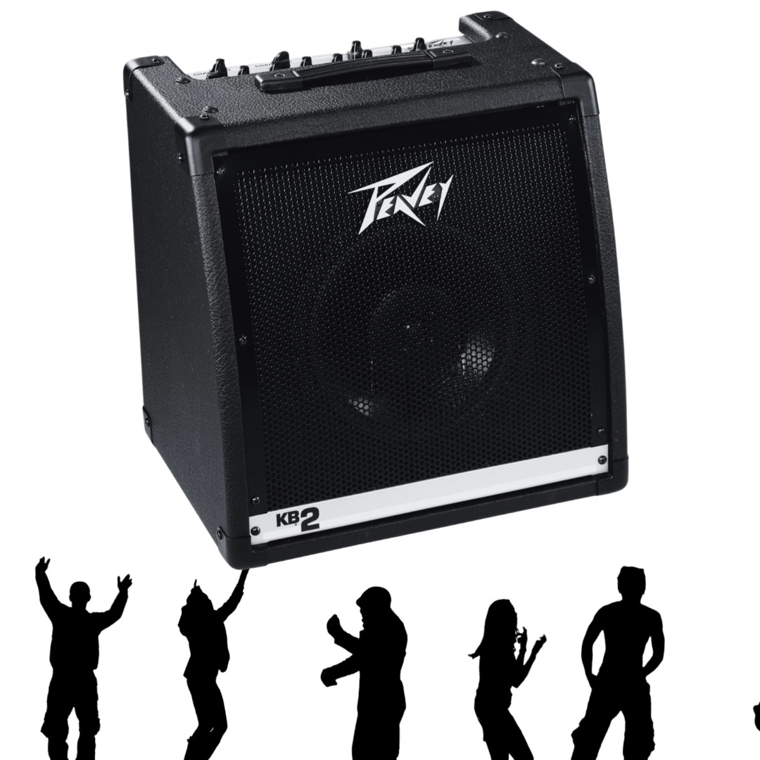 What type of speaker is in the Peavey KB-300 keyboard amp?