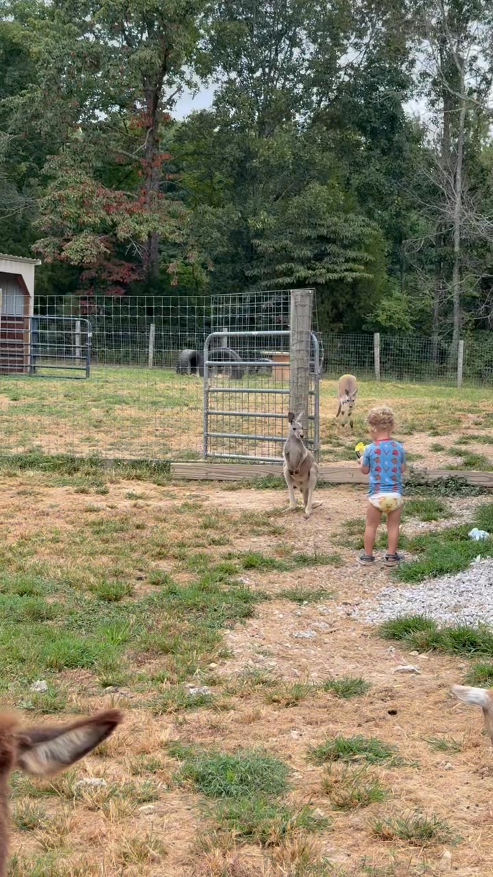 Trying to get everyone fed this morning ️ | Clanton Ridge Farm | Facebook