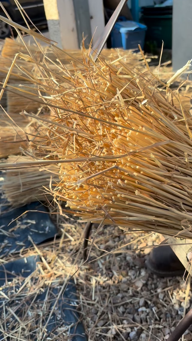 Preparing the thatch 🛖 #thatching #thatcher #devonthatcher #instagood # ...