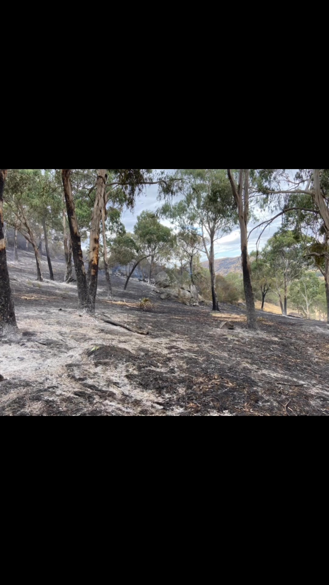 Tuesday was another Total Fire Ban day and our crews were kept busy ...