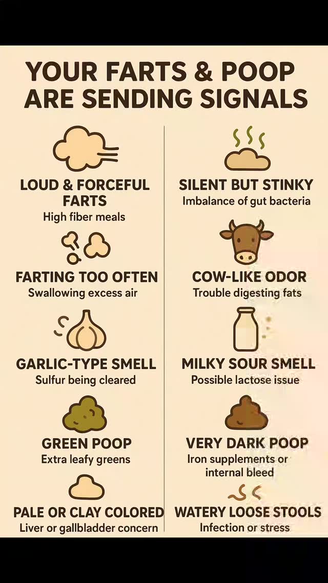 What do these poops mean? I don't think it's cecotropes and they smell so bad