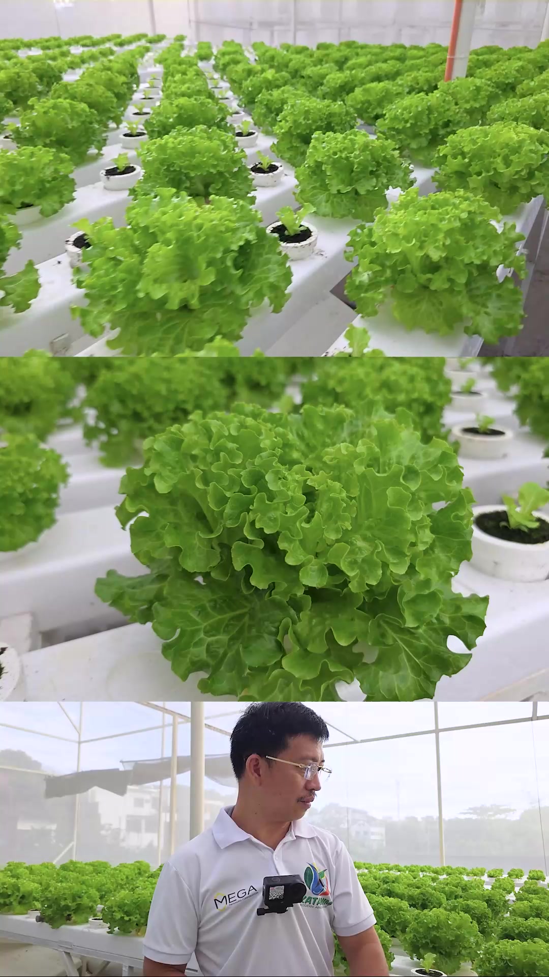 Precision is key Before feeding your plants, always check your EC and ...