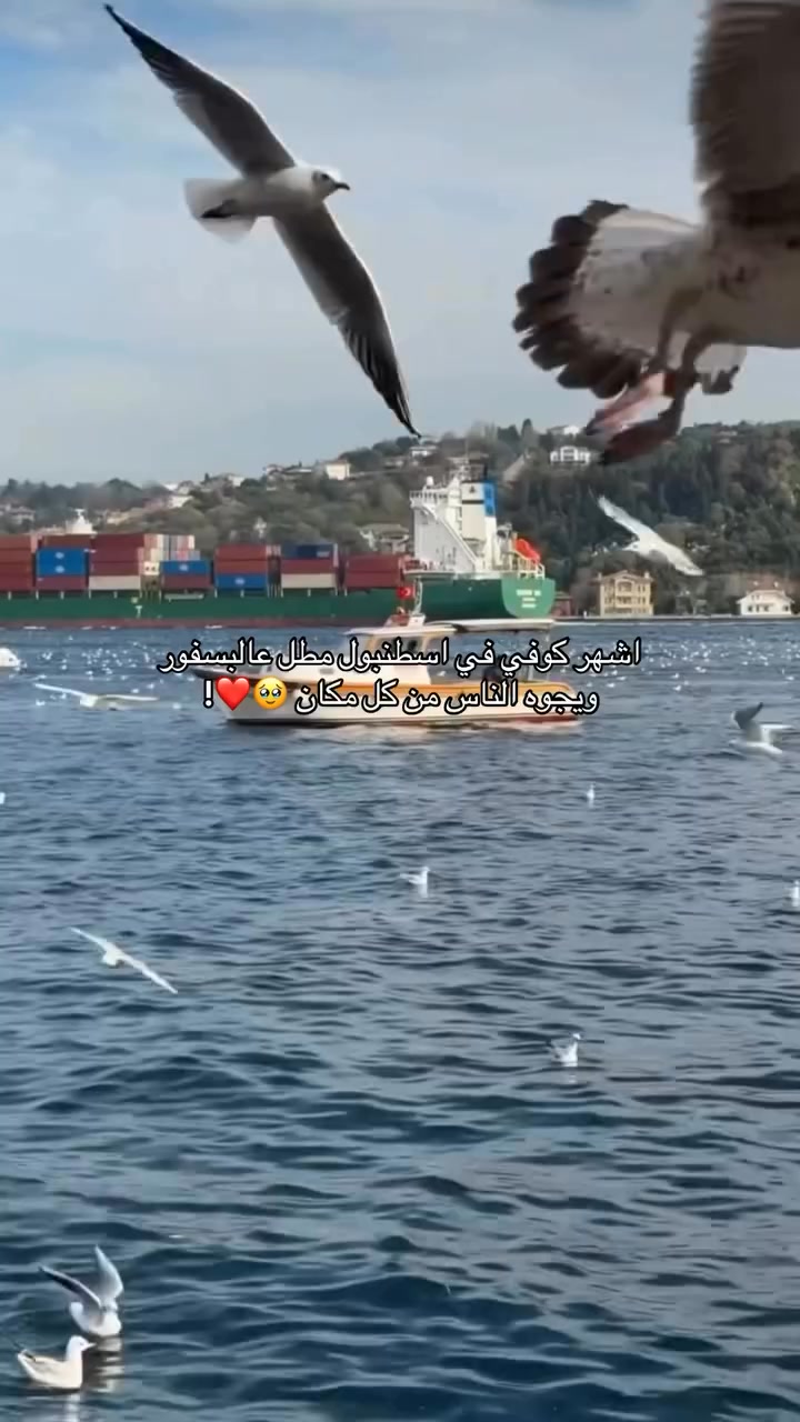 الغني عن التعريف اوبا 🥹💕_ يجنن مرا ورايق 💕 هل زرتوه من قبل⁉️🇹🇷 _اسطنبول ...