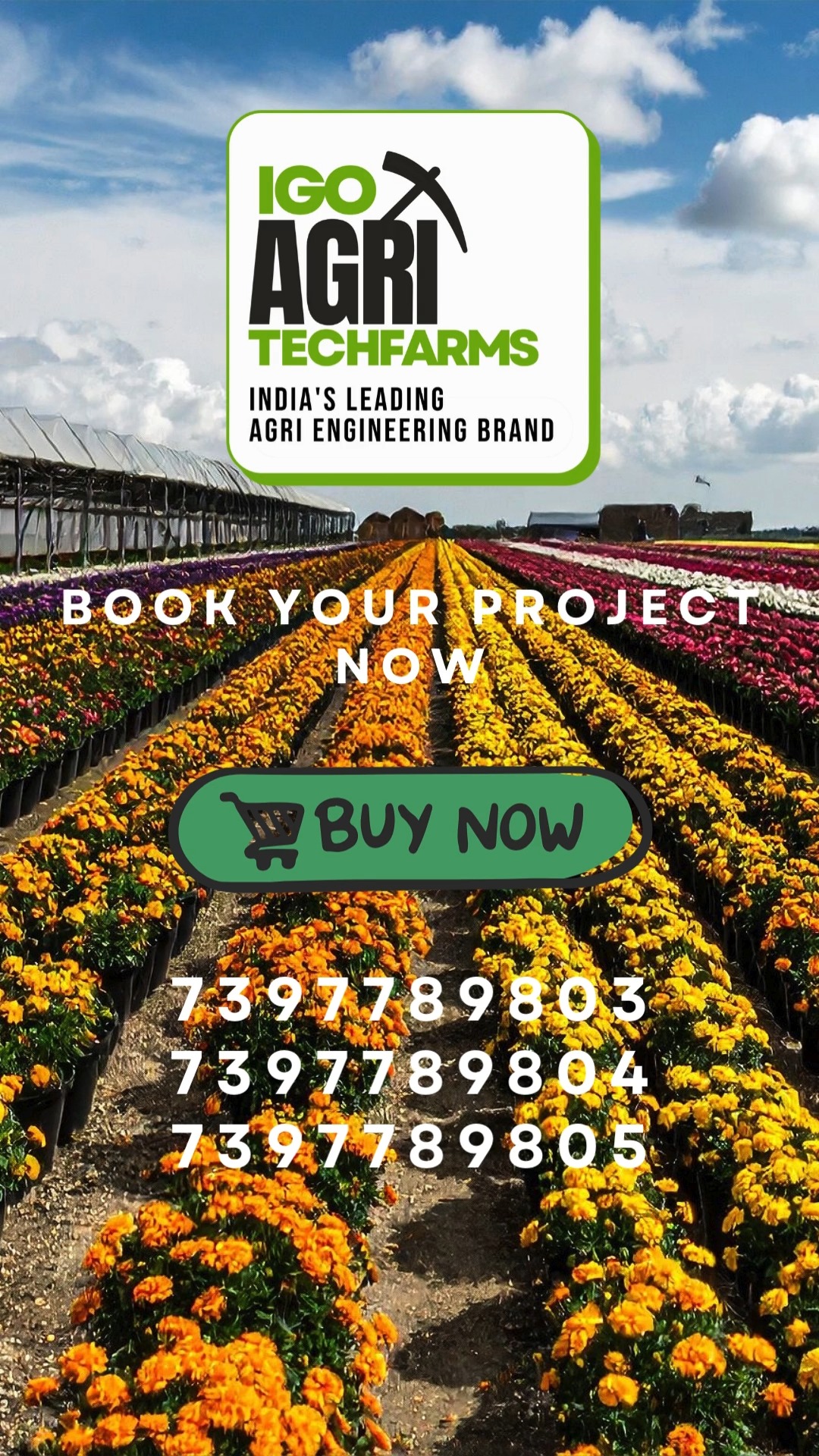 🌼 𝐀𝐭 𝐈𝐆𝐎 𝐀𝐠𝐫𝐢𝐭𝐞𝐜𝐡 𝐅𝐚𝐫𝐦𝐬, 𝐰𝐞 𝐛𝐫𝐢𝐧𝐠... - IGO Agri Techfarms | Facebook