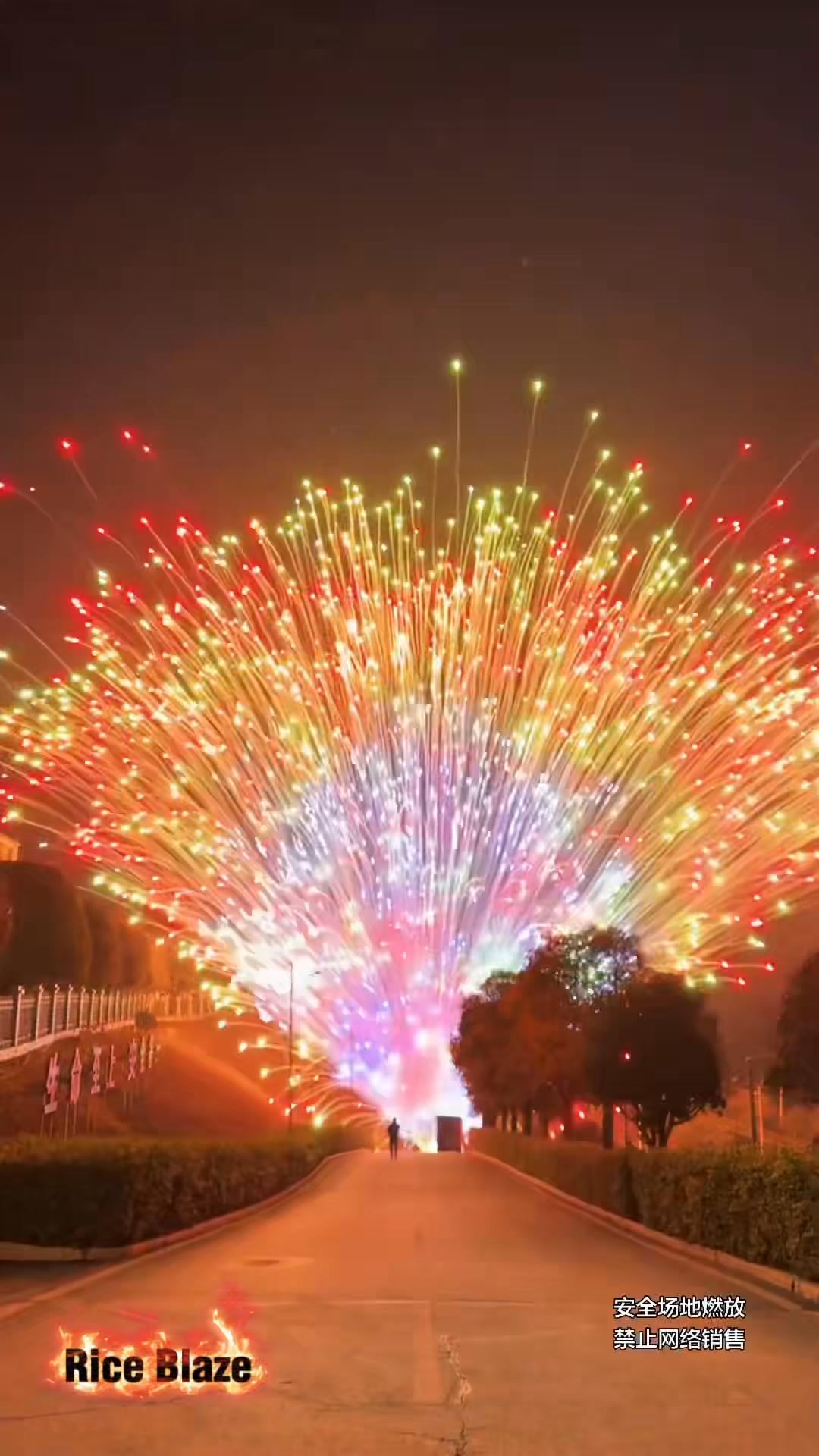 What should I call this fireworks? Need some help.#fireworks | Rice ...