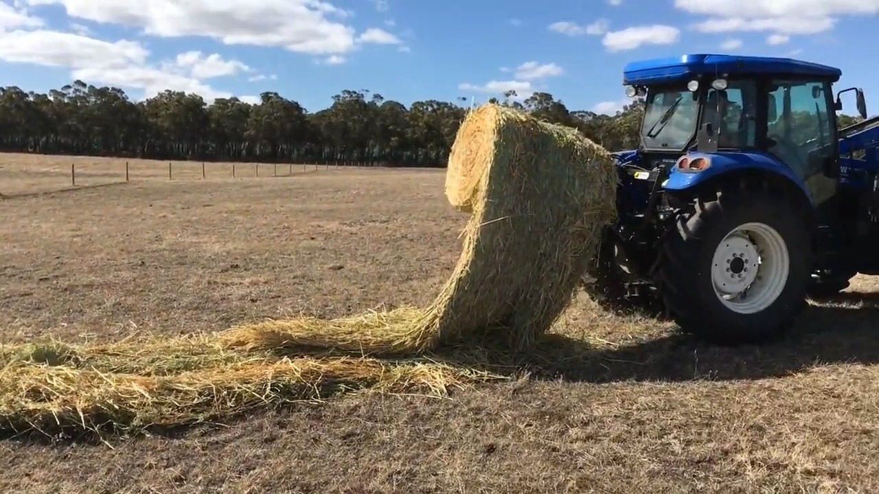 A whole new way of feeding livestock The Tractor HaySpin Bale Spinner ...