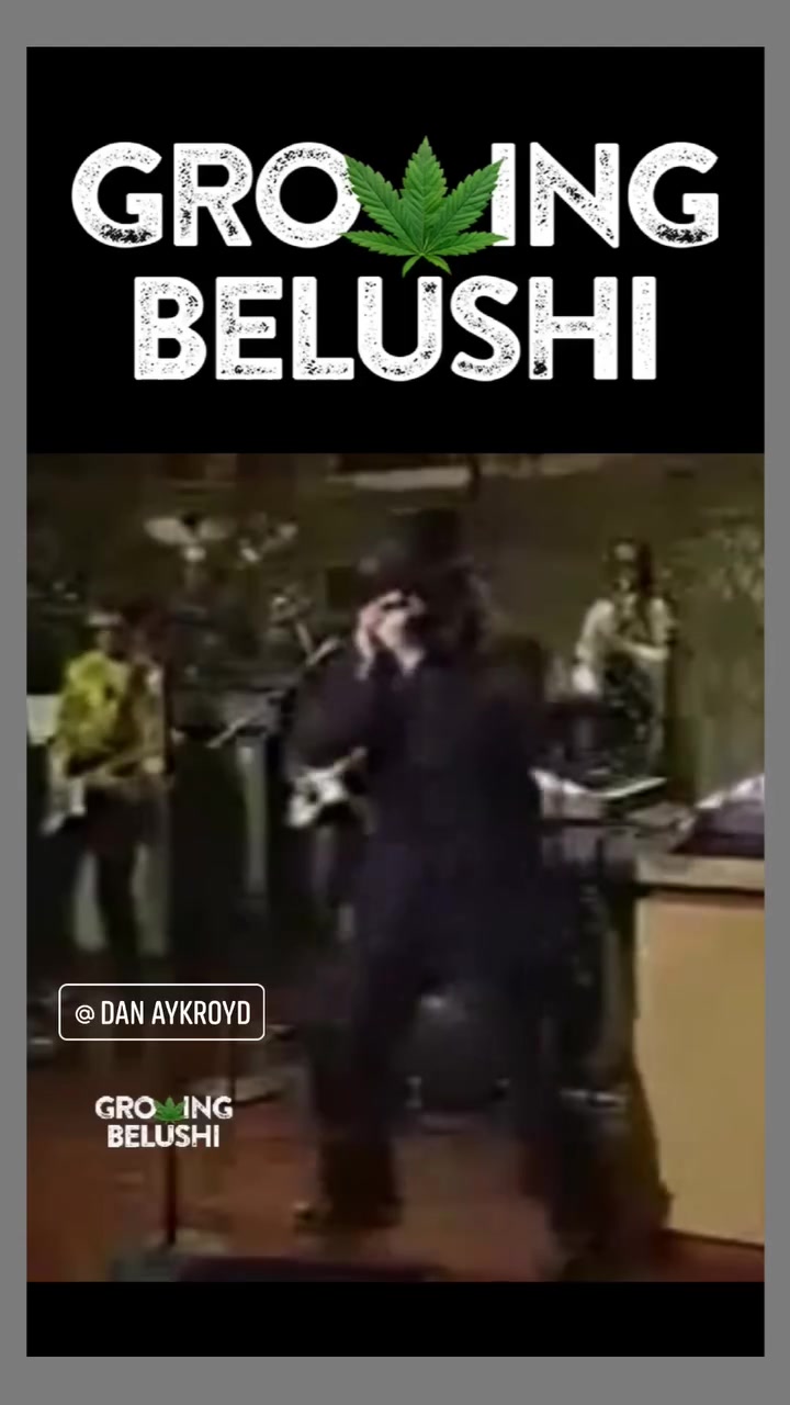 The Blues Brothers Jimmy Fallon Saturday Night Live #SNL50