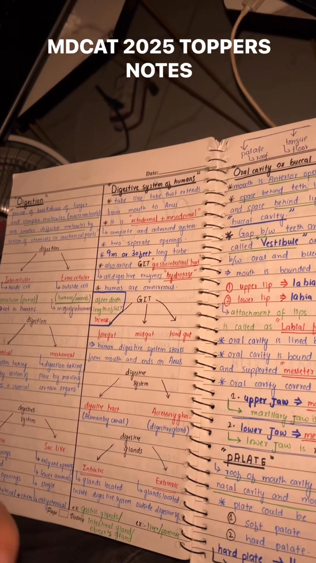 This Is How MDCAT Toppers Make Their Notes #mdcat2026 #MDCAT2025 # ...