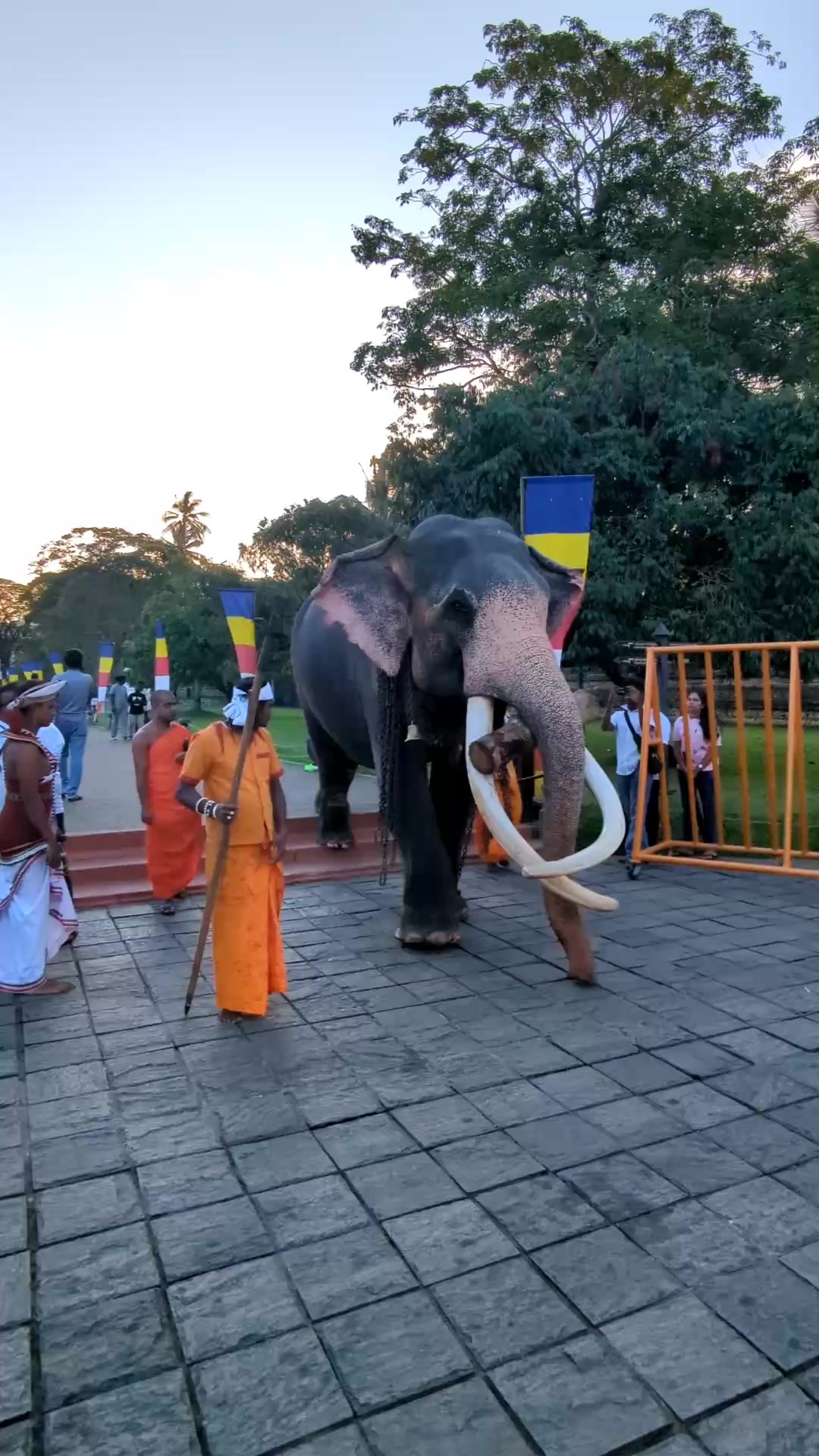 Kotte Raja | කෝට්ටේ රාජා හස්තීයා අගනුවර කුමාරයා # ...