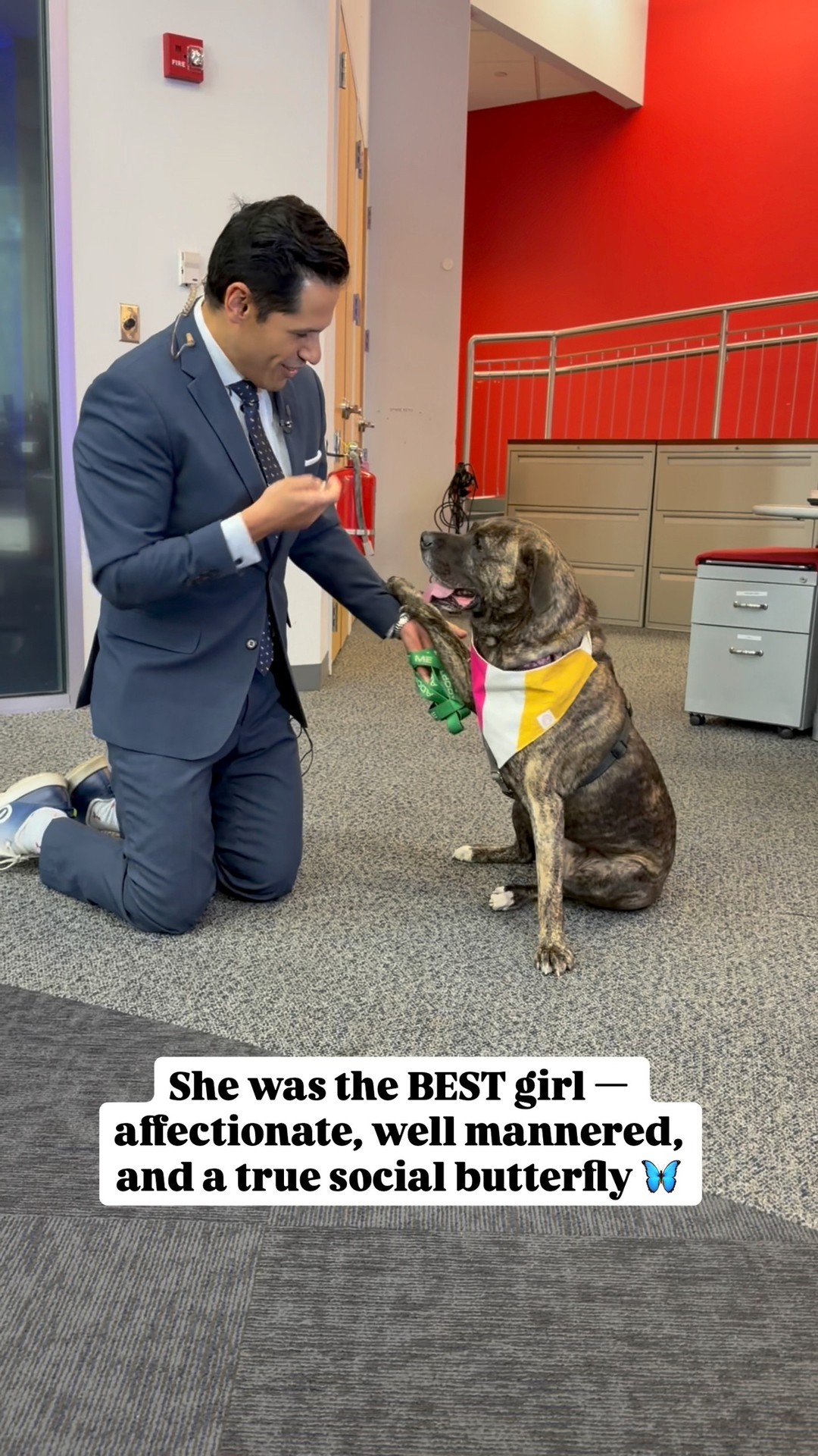 Jill stole the show on Boston 25’s Furever Friday last week She was ...