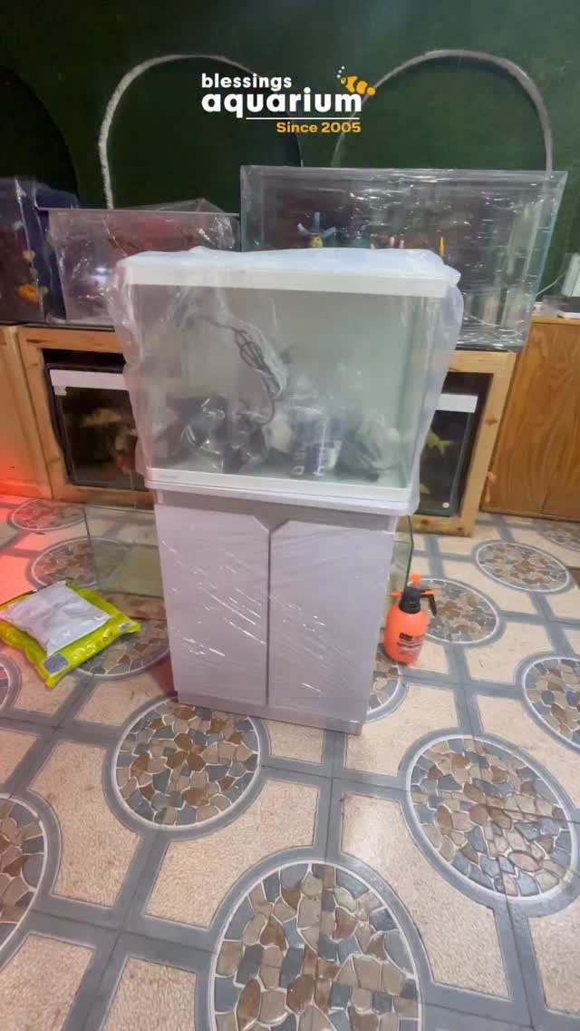 Setting this Atman 2 feet premium fish tank at a client’s place in Pune ...