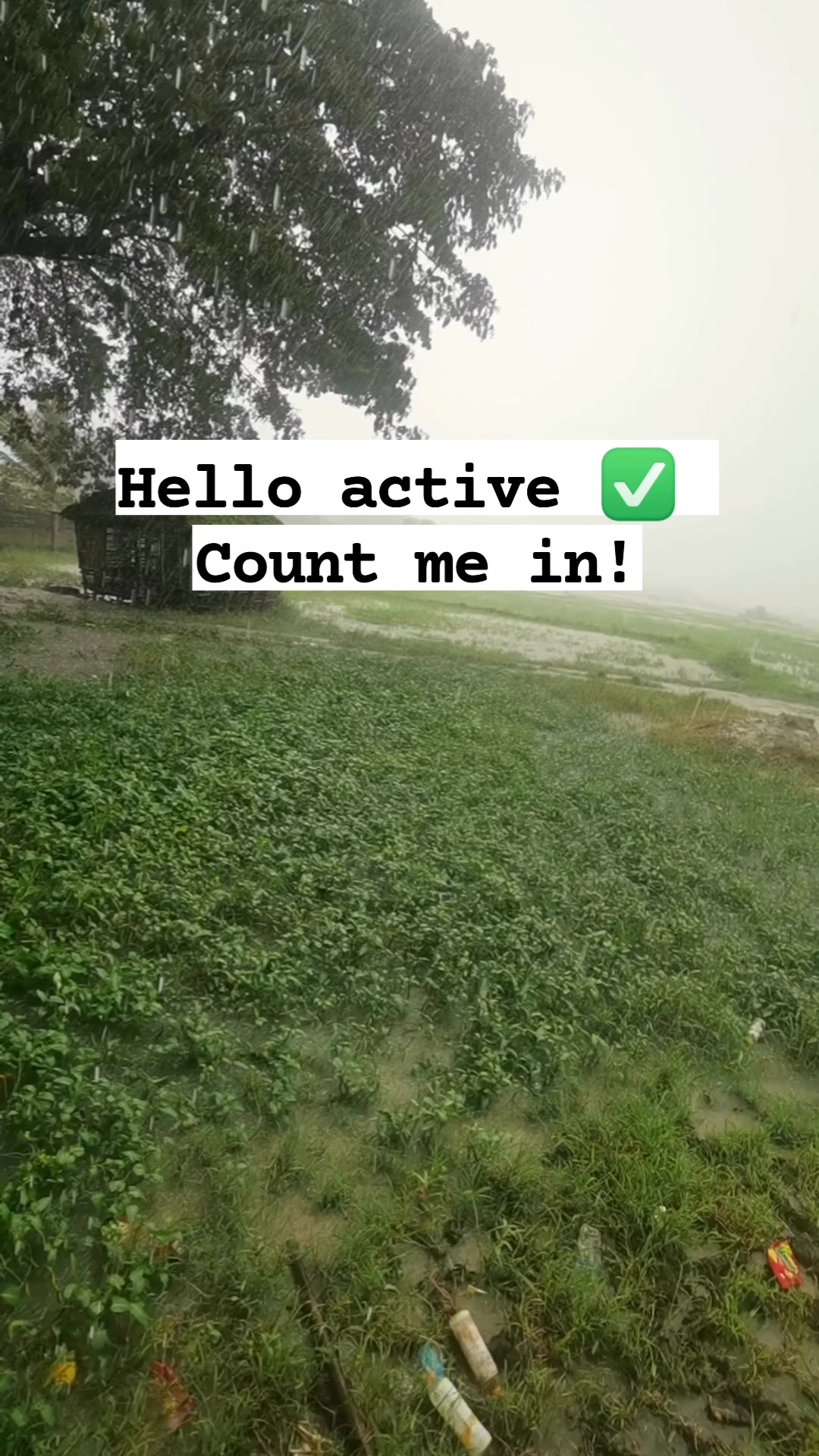 Hello active Count me in! #highlightseveryone #viralreels #mommytime # ...