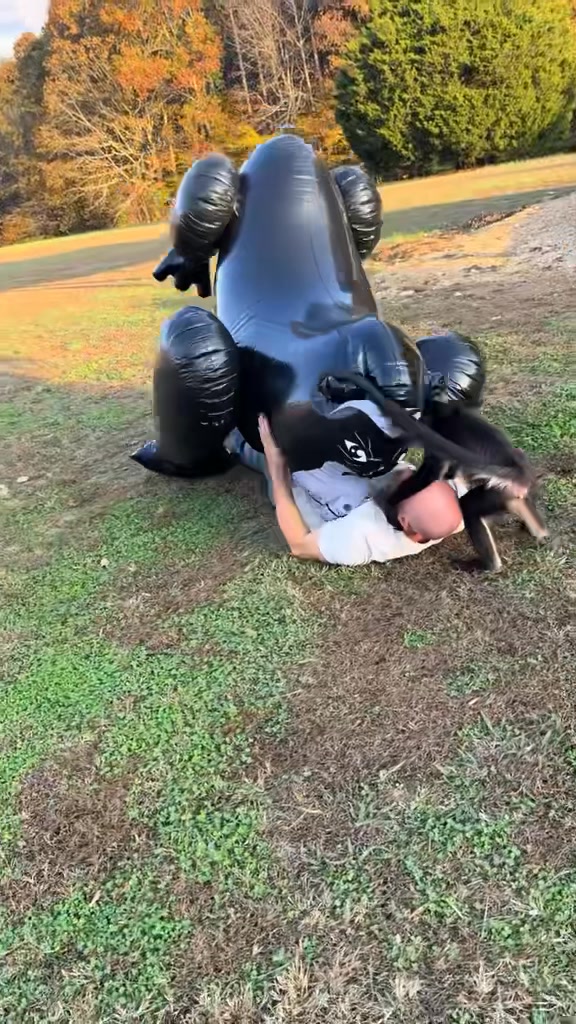 When the gorilla gets you down will the monkeys help? 🤣 | Clanton Ridge ...