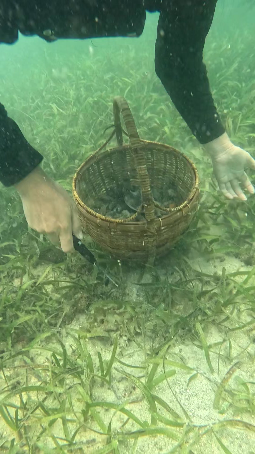 Gisalom ang Bug-atan nga perting Dakoa #seashorevibes #seaadventure # ...