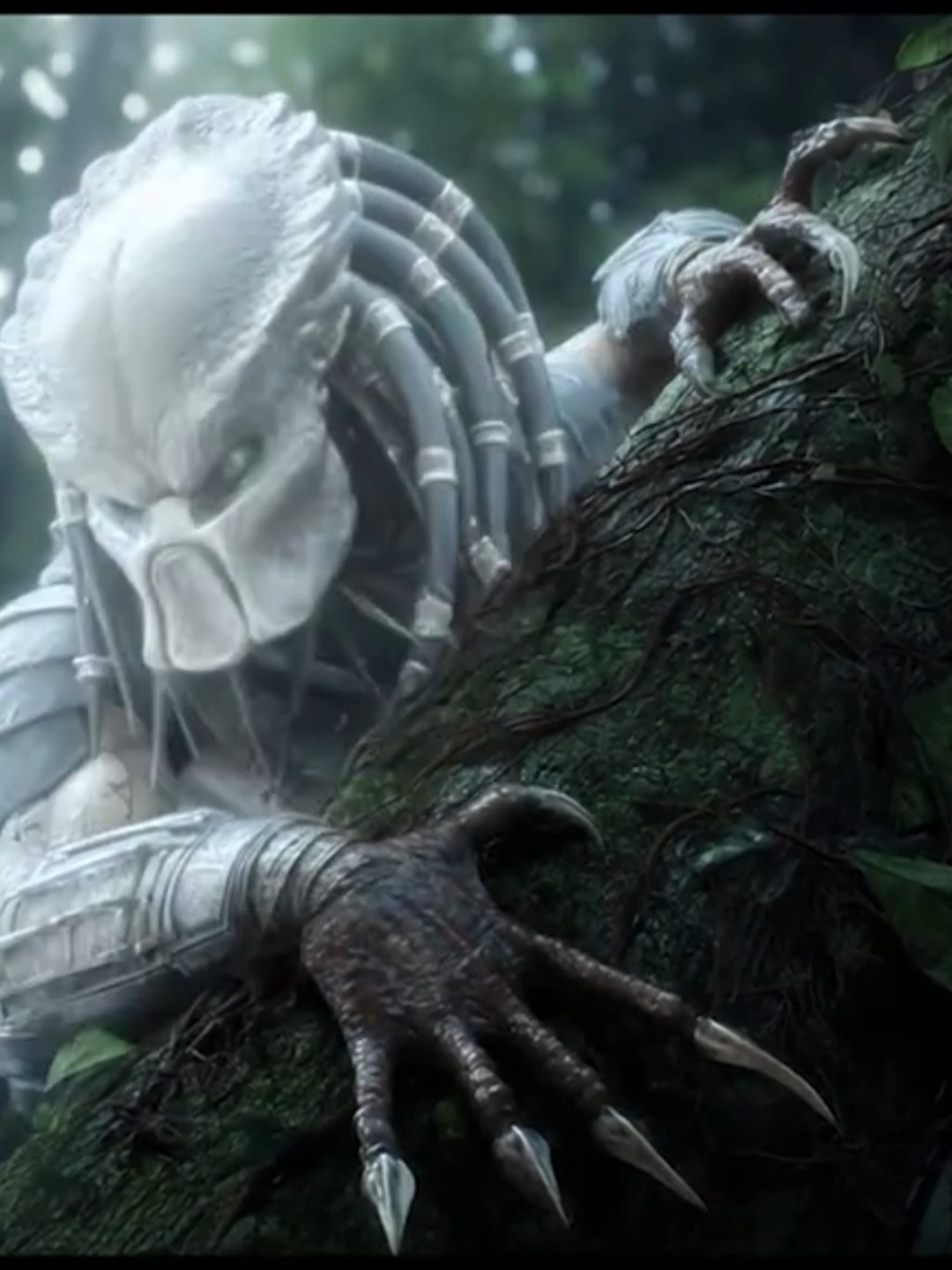 LA LLEGADA 😱 #PREDATOR #aliensvspredator #Predator #PredatorBadlands ...