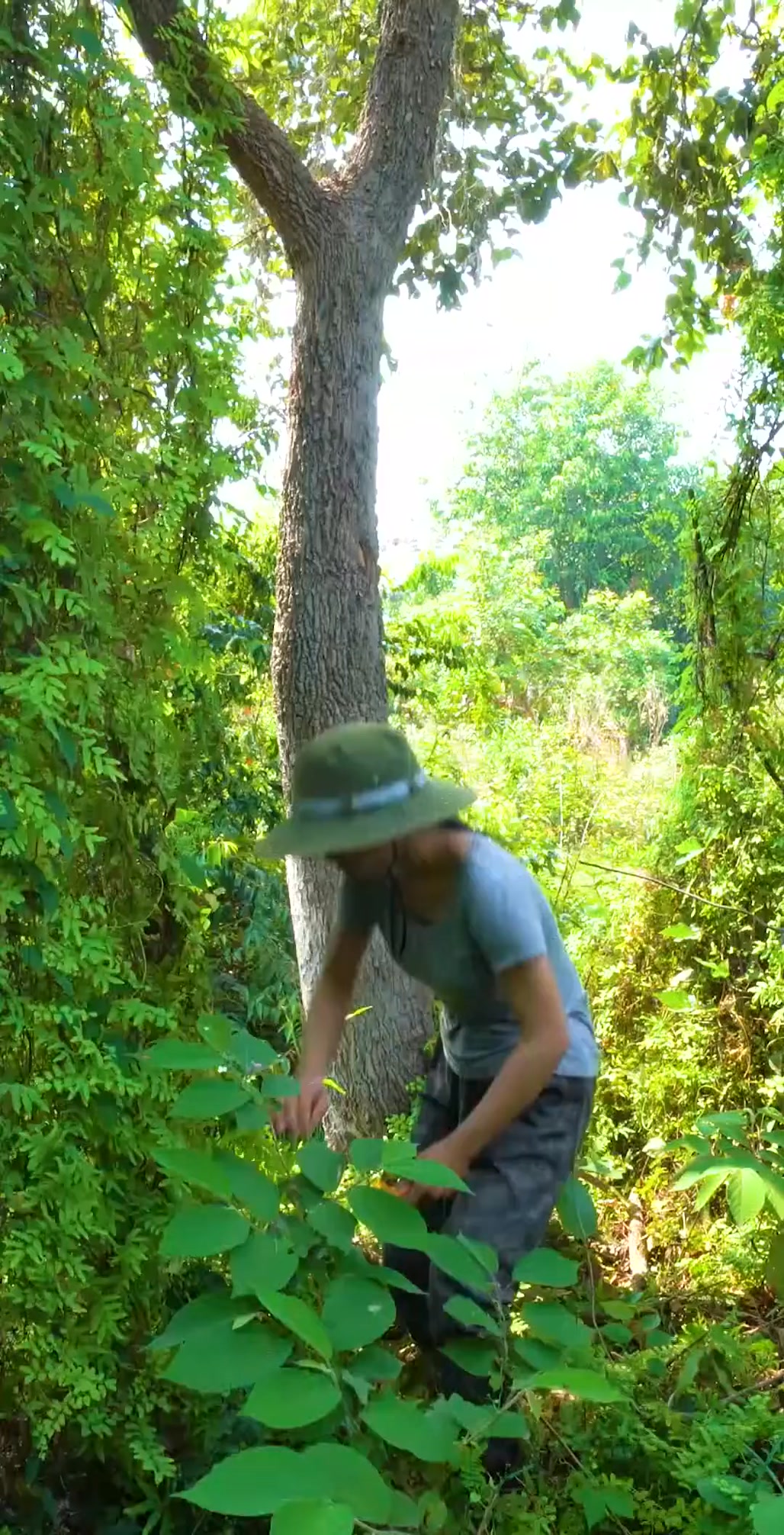 Girl LIving Off Grid, Build A Complete Warm Survival Underground ...