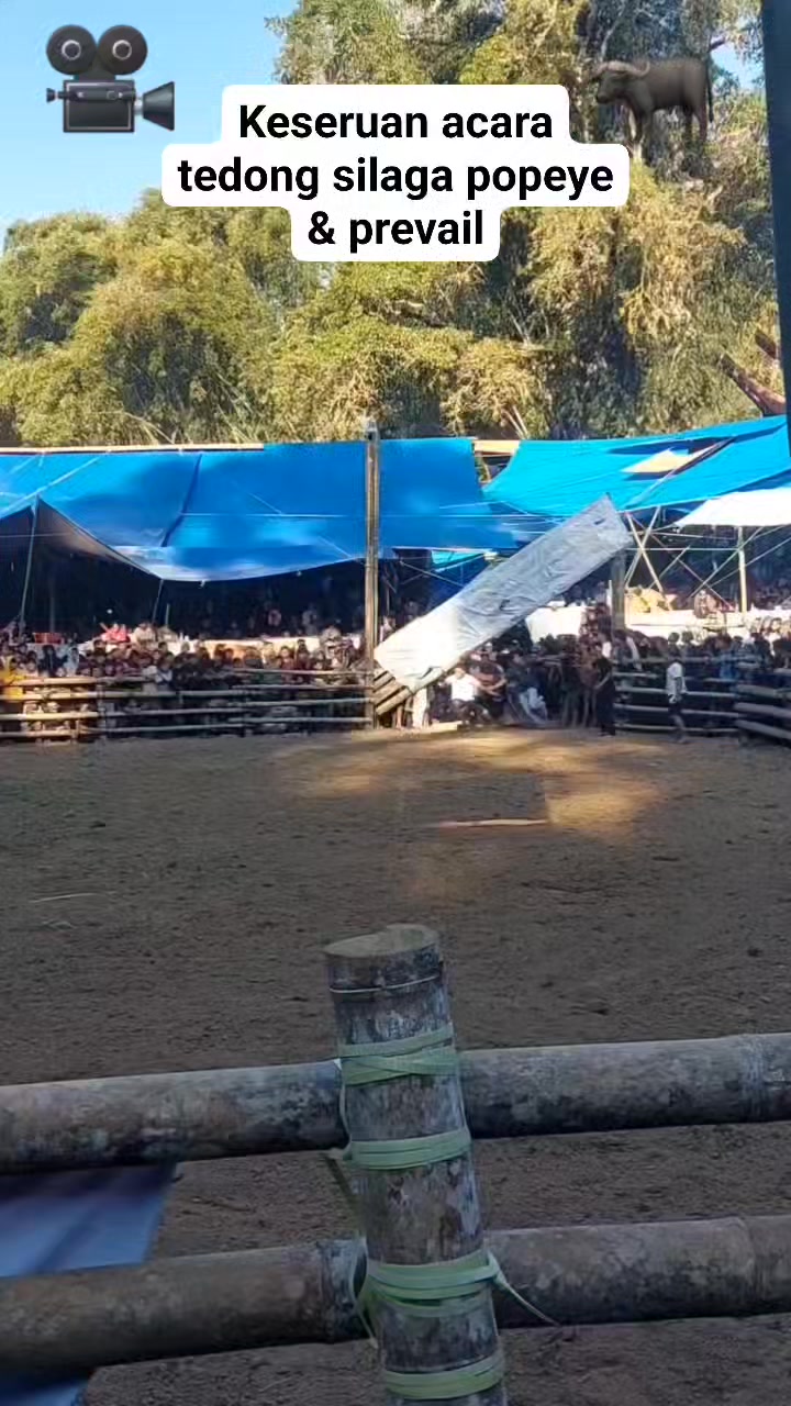 Tarian unik toraja ma' randing,toraja tempoe doloe. #reelsviral # ...