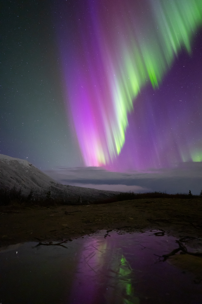 Vibrant aurora lights up the night sky over the Alaskan wilderness