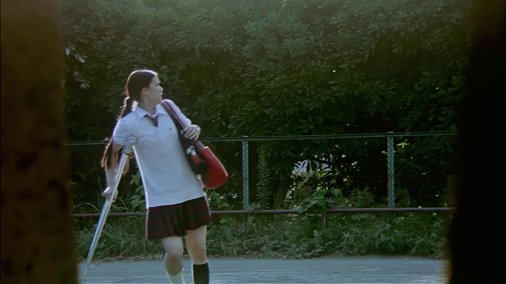 岩井俊二監督作 「花とアリス」 劇場公開から今日で20周年！ 「花と