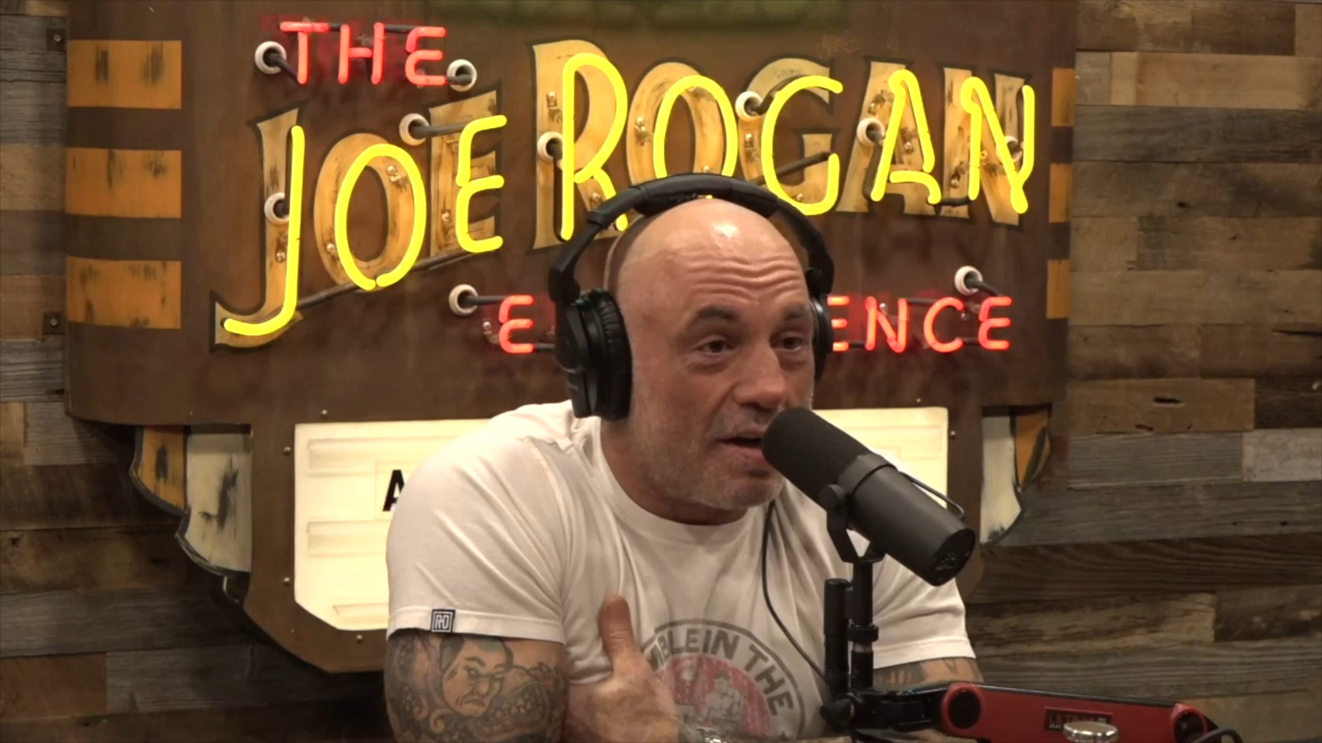 The Joe Rogan Experience