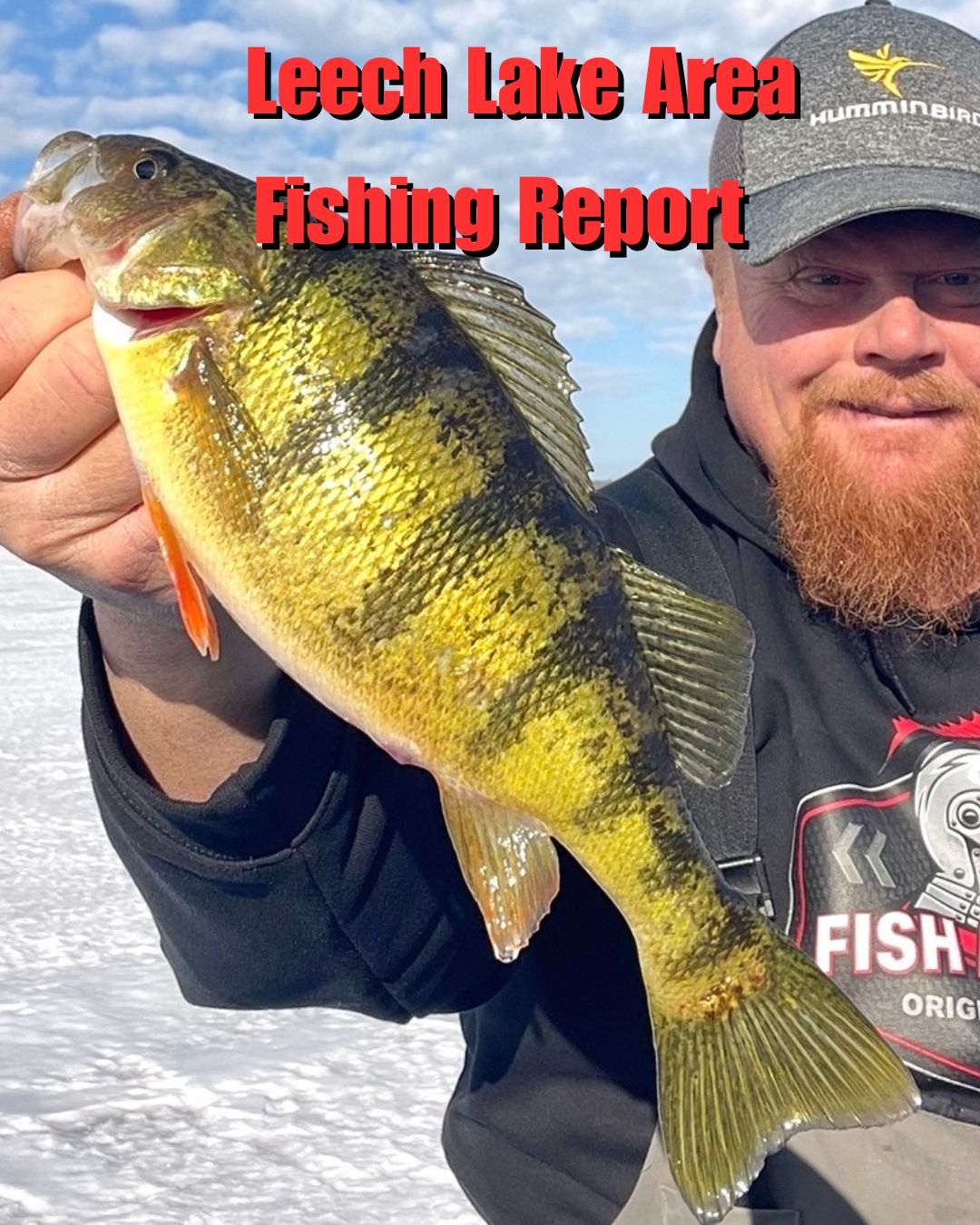 Brian Bro Brosdahl is back at it with another ice fishing report for ...