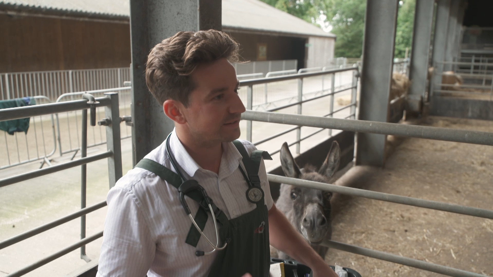 Cannon Hall Farm Live | Facebook