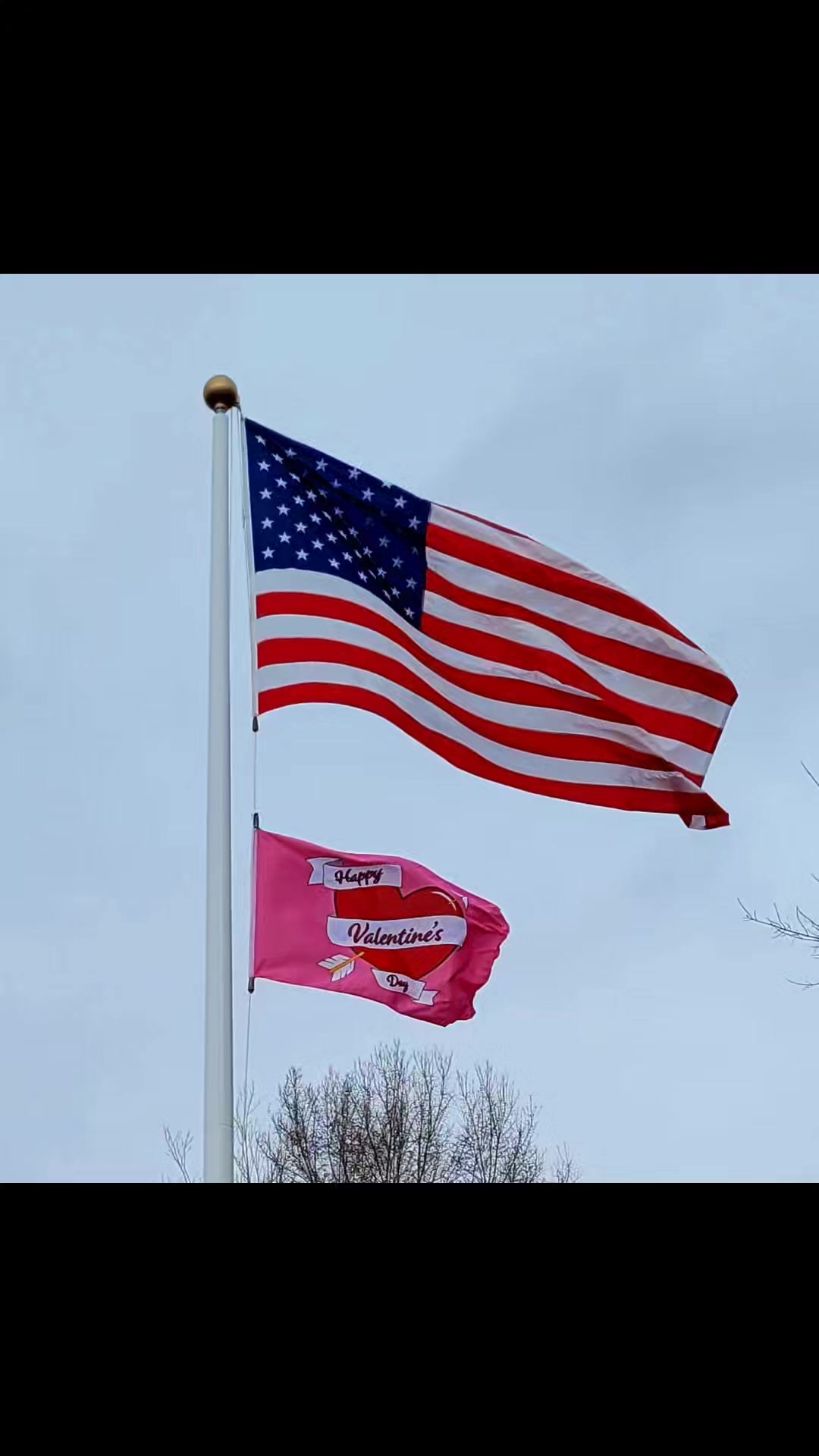Flags are taking a beating today! #WindyCity | A-1 Flags, Poles, and ...