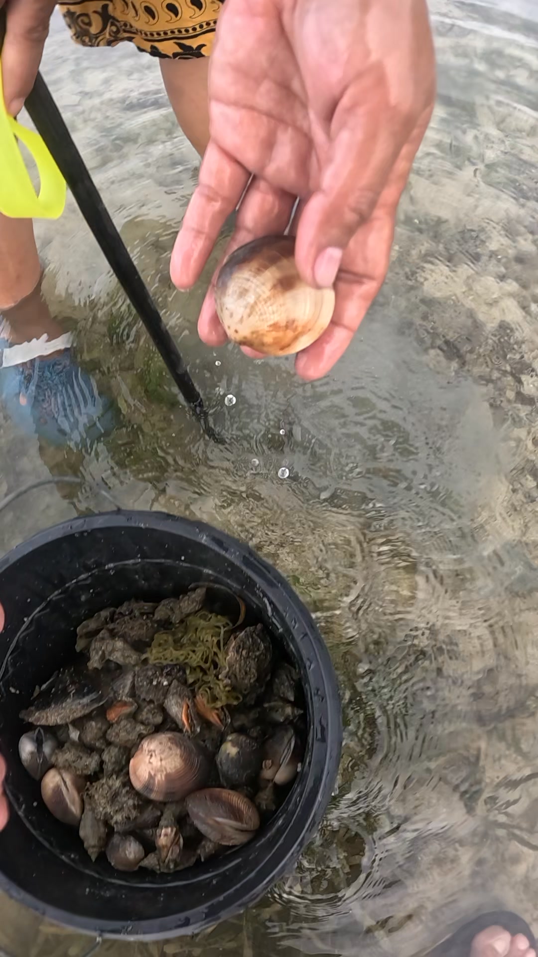 This is how to hunt Bog-atan shell 🐚 #jremiehempinadorubin # ...