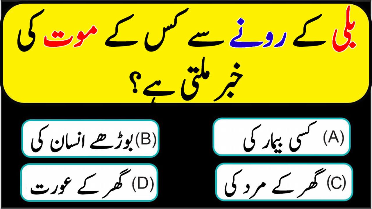 Top 35 Islamic Questions and Answers | Islamic Quiz Time | Islami Sawal ...