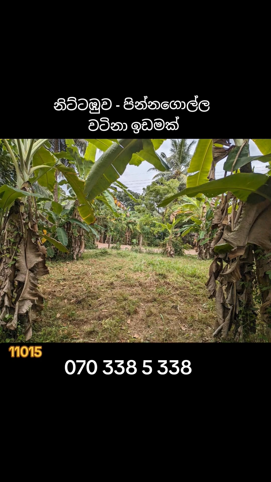 🔥 PRIME LAND FOR SALE – NITTAMBUWA | PINNAGOLLA 🔥 🏡 Living & Investment ...