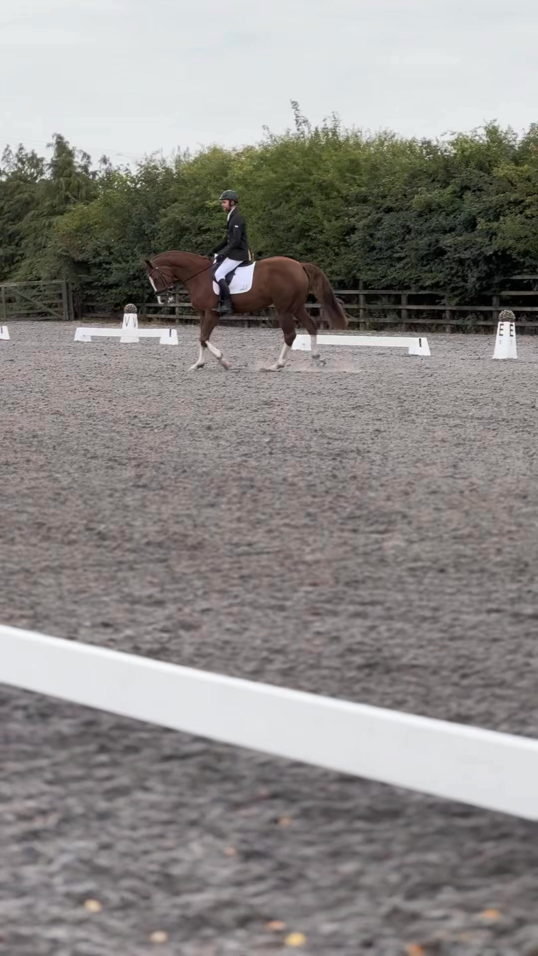 🎥 Highlights from yesterday’s British Showjumping at Tushingham! 🏇💛 A ...