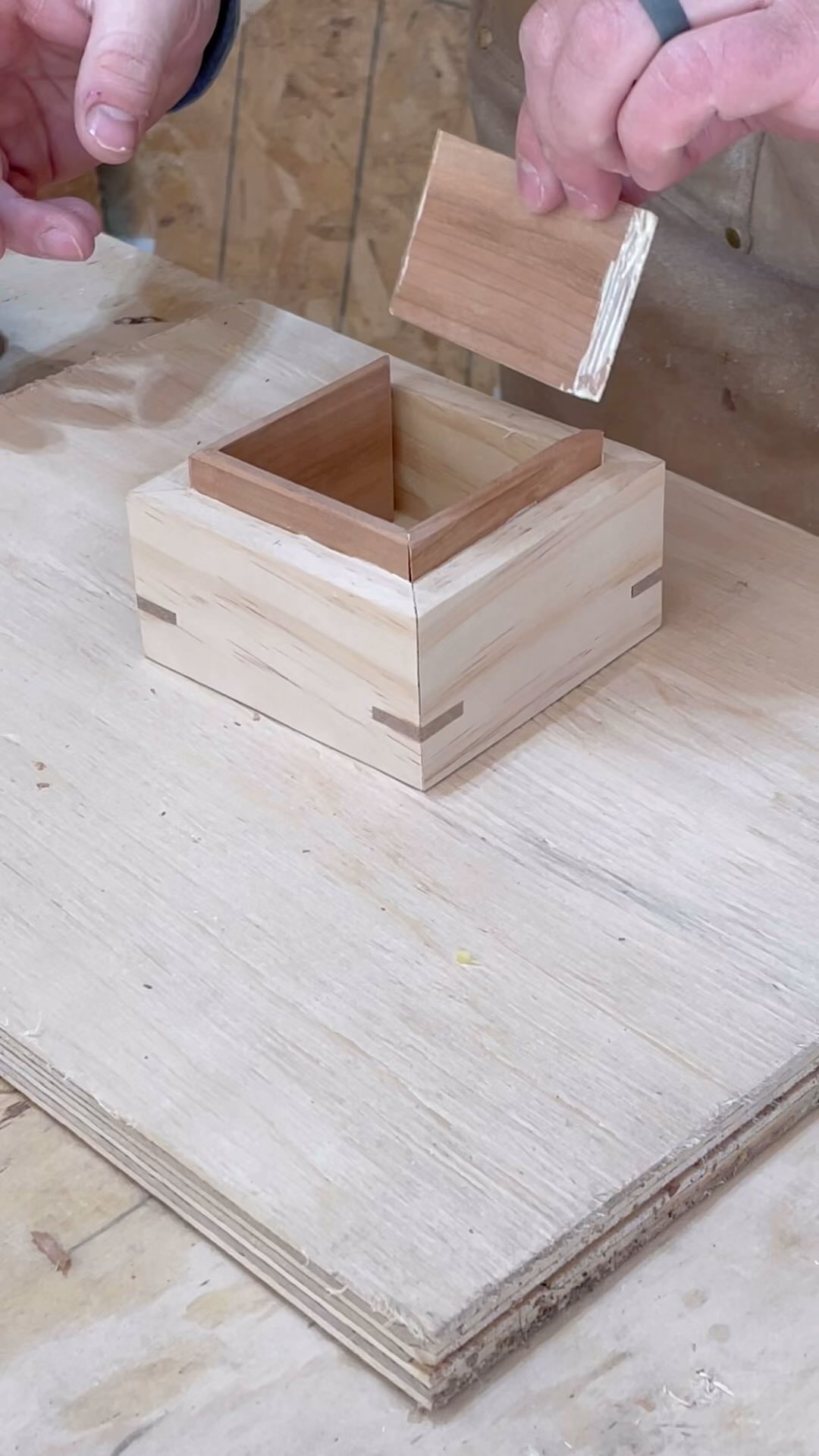 Twist Box V2 A simpler two-compartment version. Full build coming