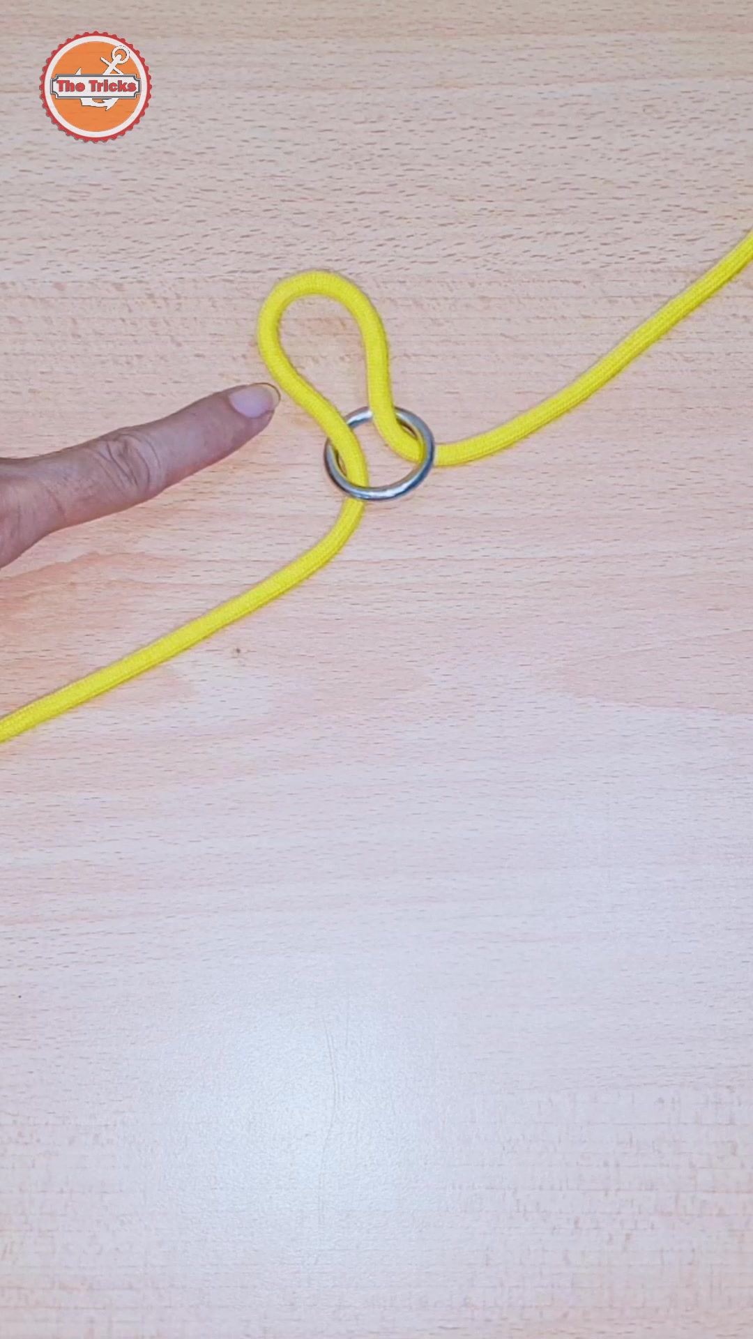 Knots rope tip diy at home ep2998 🇺🇸🪢 #knots #reels #trending #trend # ...
